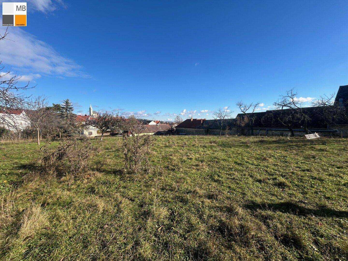 Sonniges Grundstück mit Wiese, Bäumen und Blick auf die angrenzende Wohnbebauung.