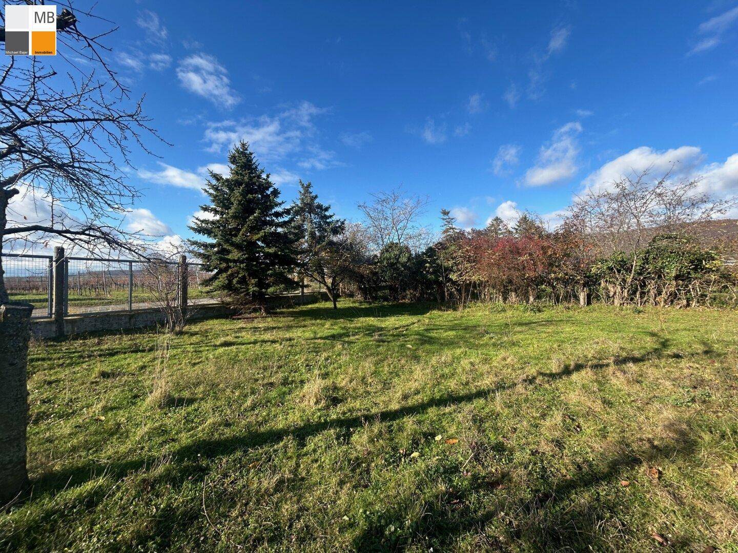 Weitläufiges Grundstück mit grüner Wiese, Nadelbäumen und einem Zaun im Hintergrund.