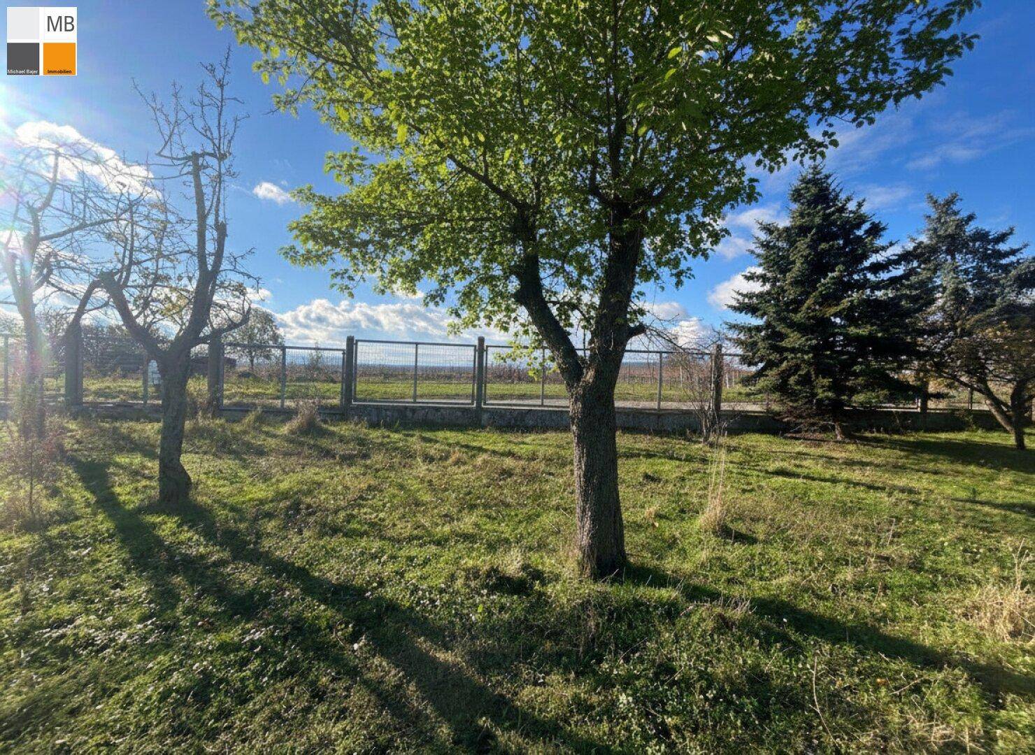 Sonniges Grundstück mit grüner Wiese, Bäumen und einem stabilen Zaun im hinteren Bereich.
