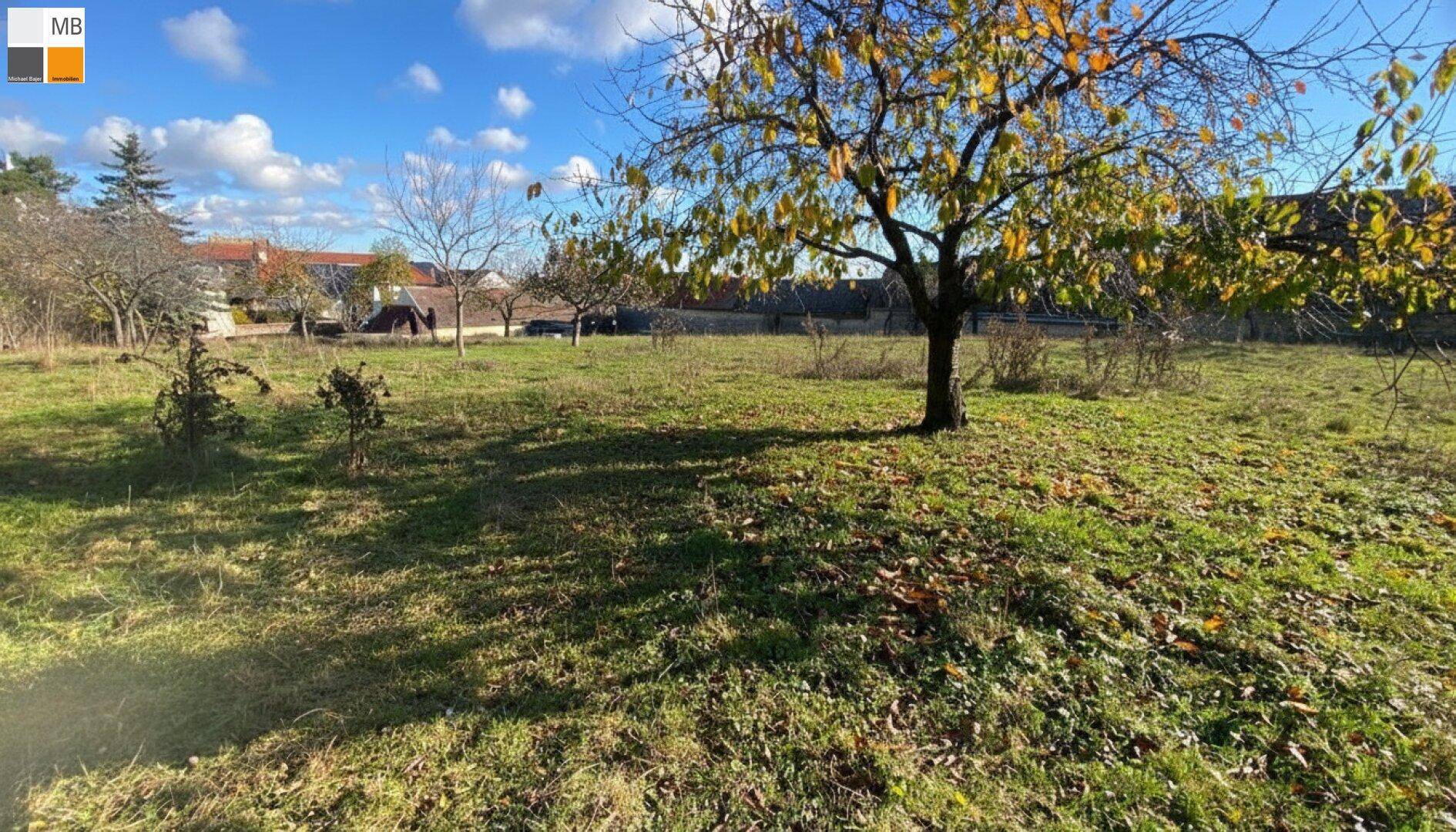 Grünes Grundstück mit einem Baum in Herbstfarben und Blick auf die ländliche Umgebung.