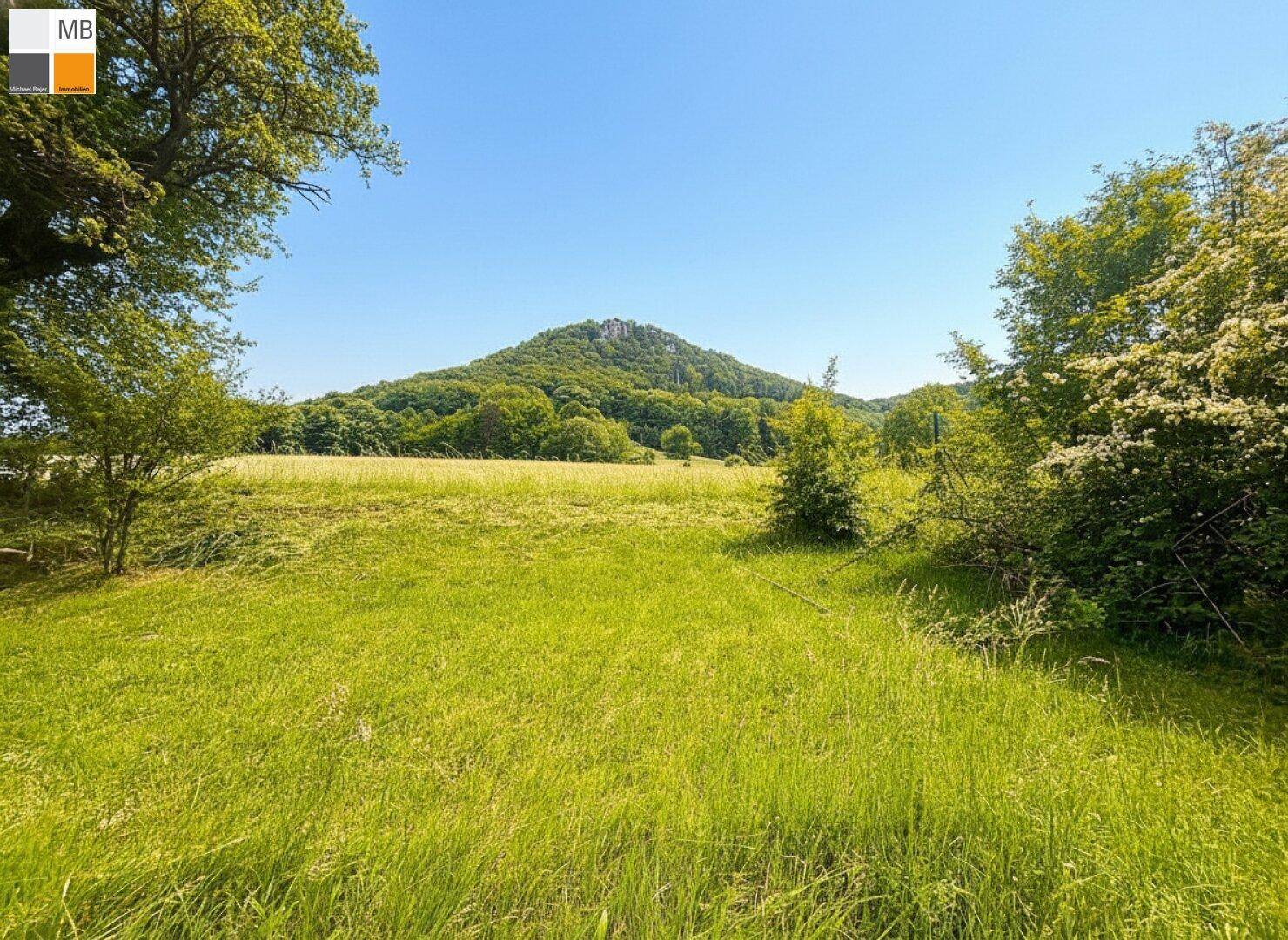 Weite grüne Wiesen und Bäume unter blauem Himmel mit einer markanten Bergkette im Hintergrund.