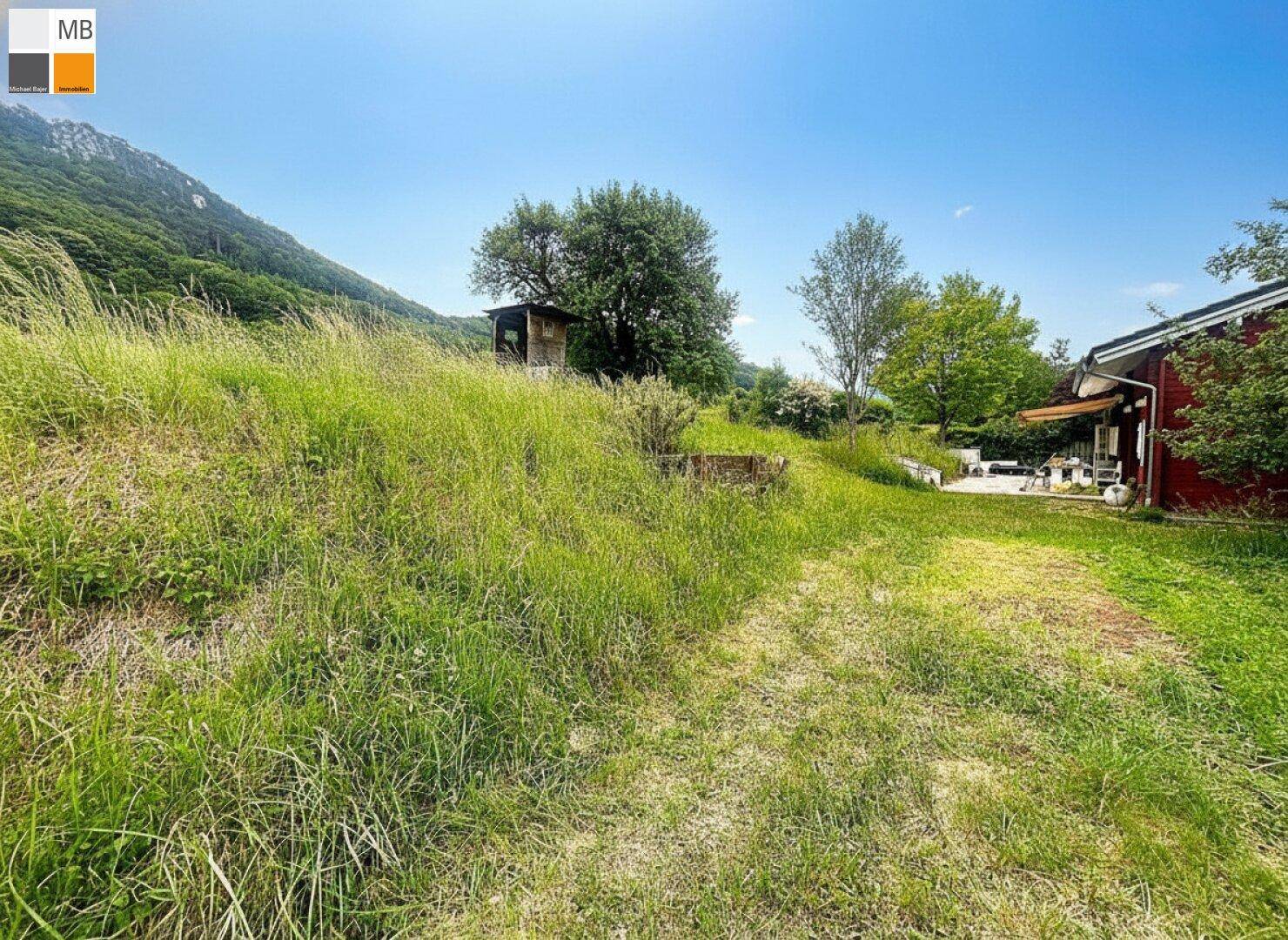 Weitläufige grüne Wiese mit einem Hochsitz in der Ferne und dem Haus am rechten Bildrand.