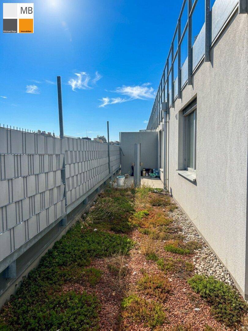 Schmaler Gartenbereich mit Bepflanzung, Kies und einer modernen Sichtschutzwand.