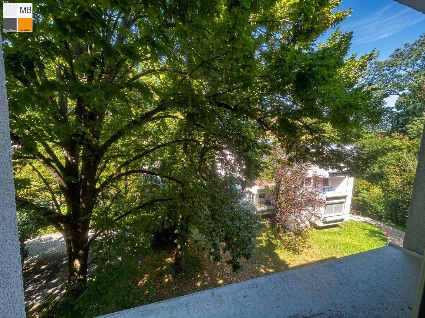 Blick vom Balkon, teilweise verdeckt von einem großen Baum, auf die grüne Umgebung und andere Gebäude.