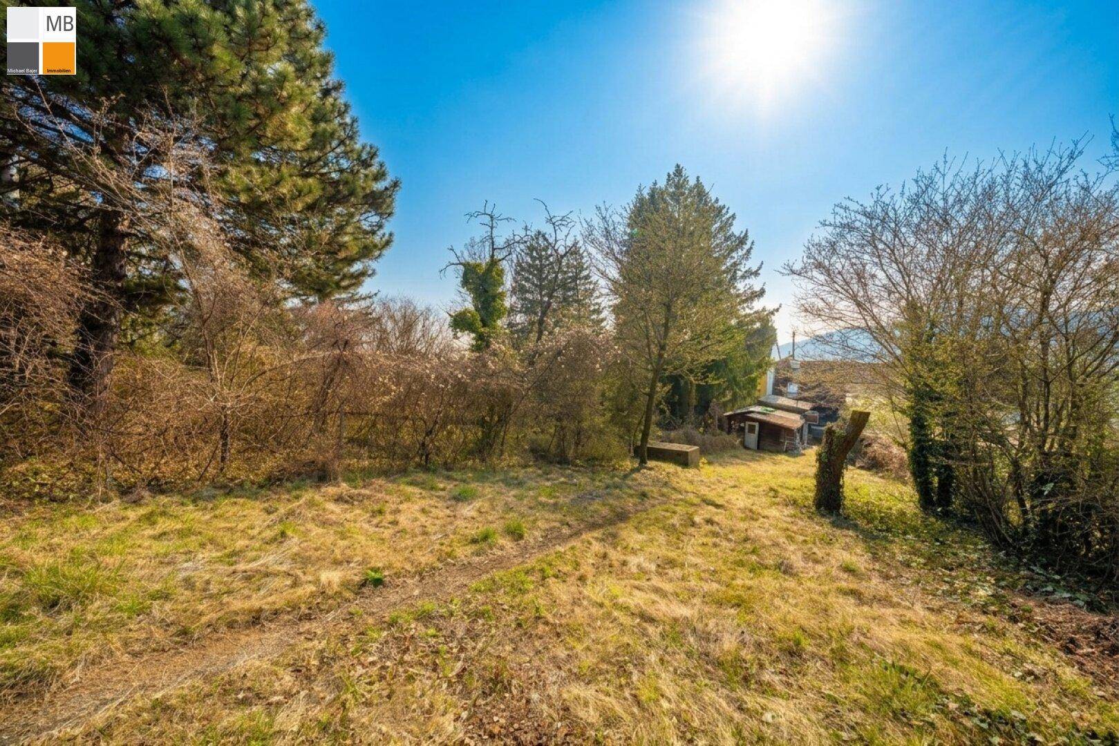 Weitläufiges, sonniges Grundstück mit hohem Gras, Bäumen und einem kleinen Schuppen im Hintergrund.