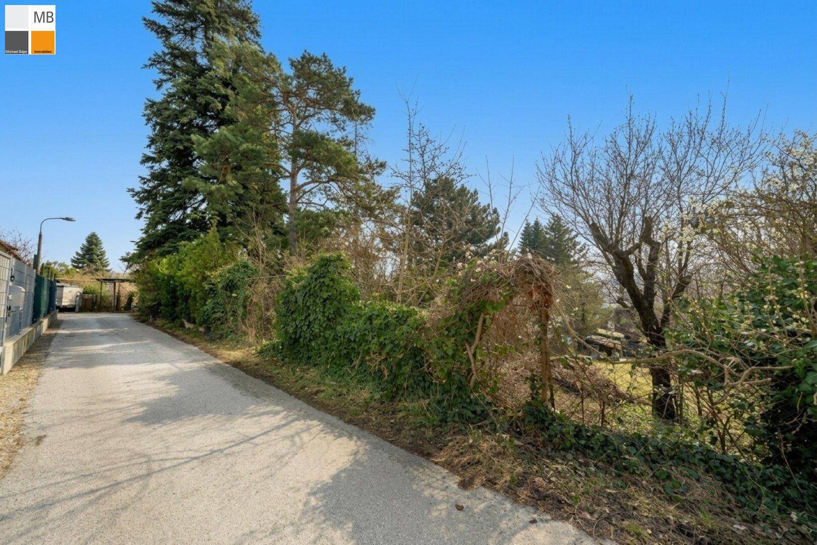 Schmaler Weg entlang eines Zauns mit üppiger Vegetation und Bäumen unter klarem blauem Himmel.