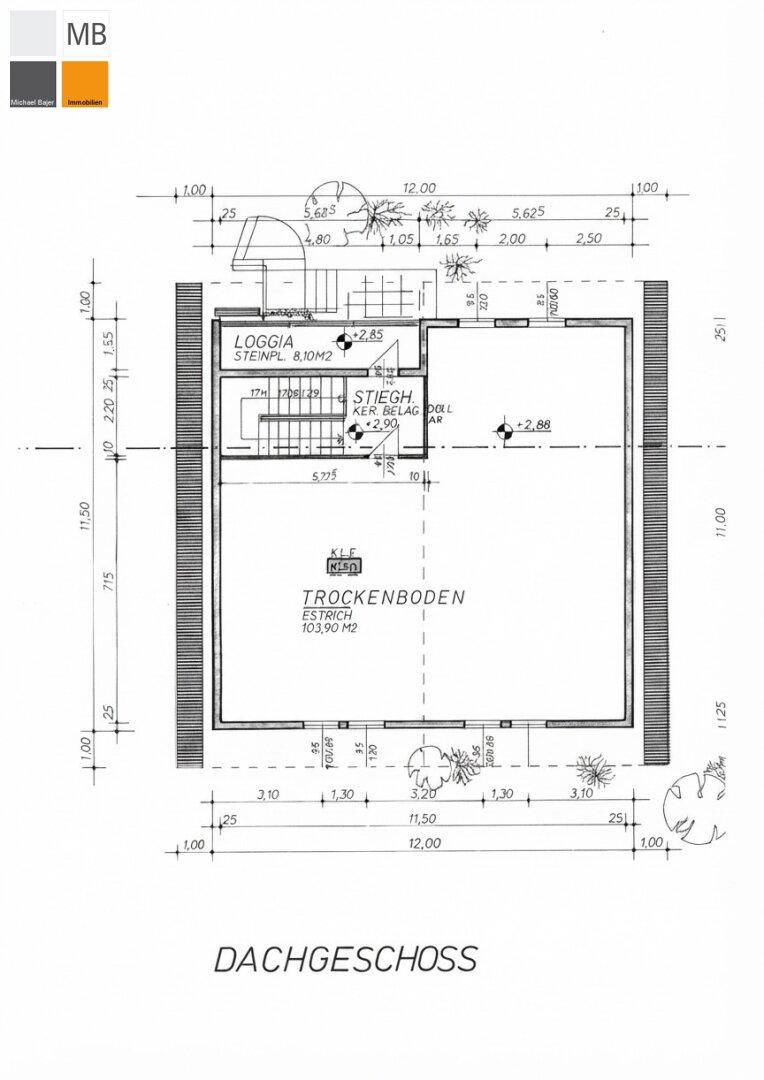Grundriss des Dachgeschosses mit Loggia und großem Trockenboden.
