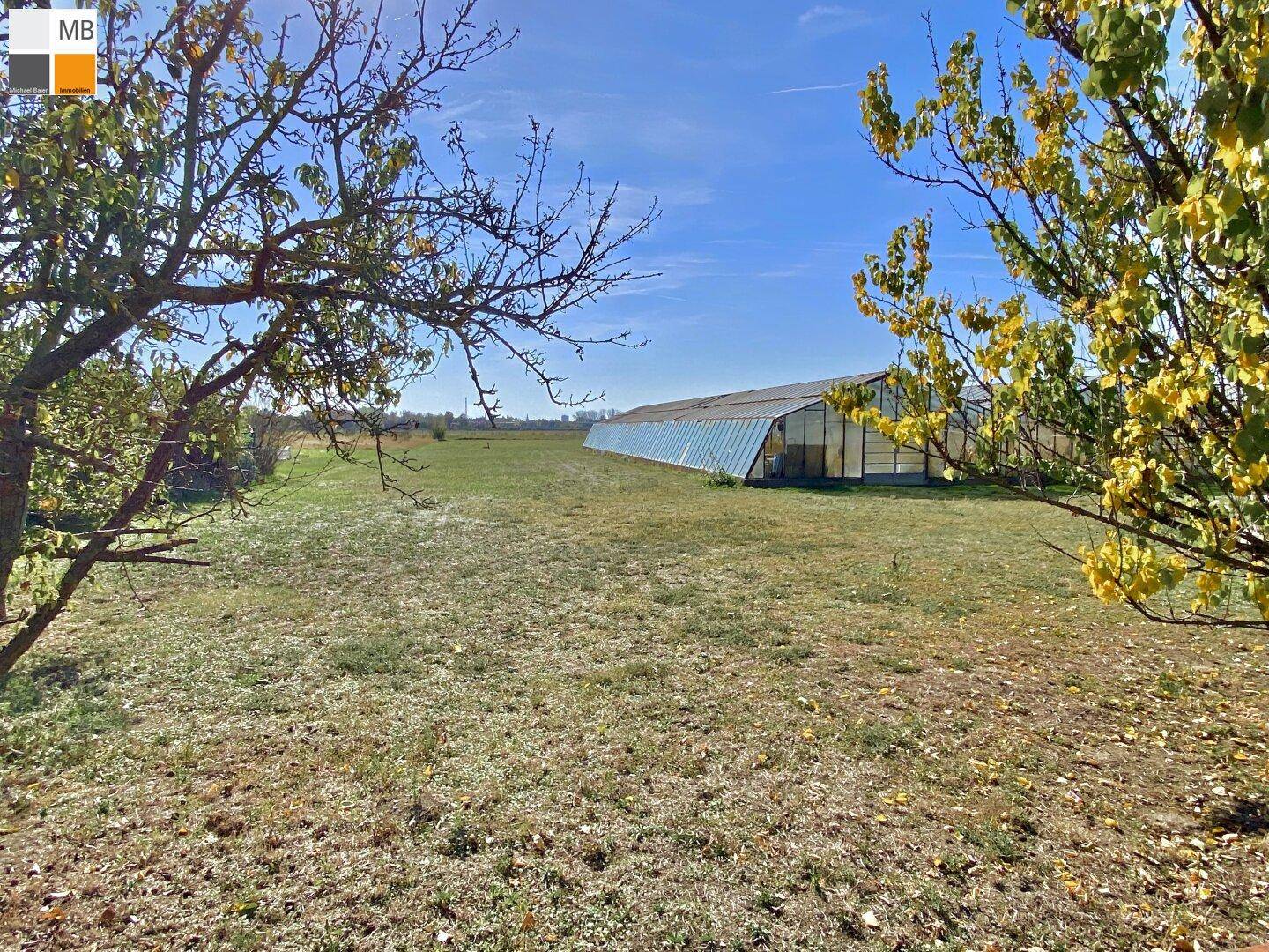 Weitläufige grüne Landschaft mit einem Gewächshaus in der Ferne unter klarem Himmel.