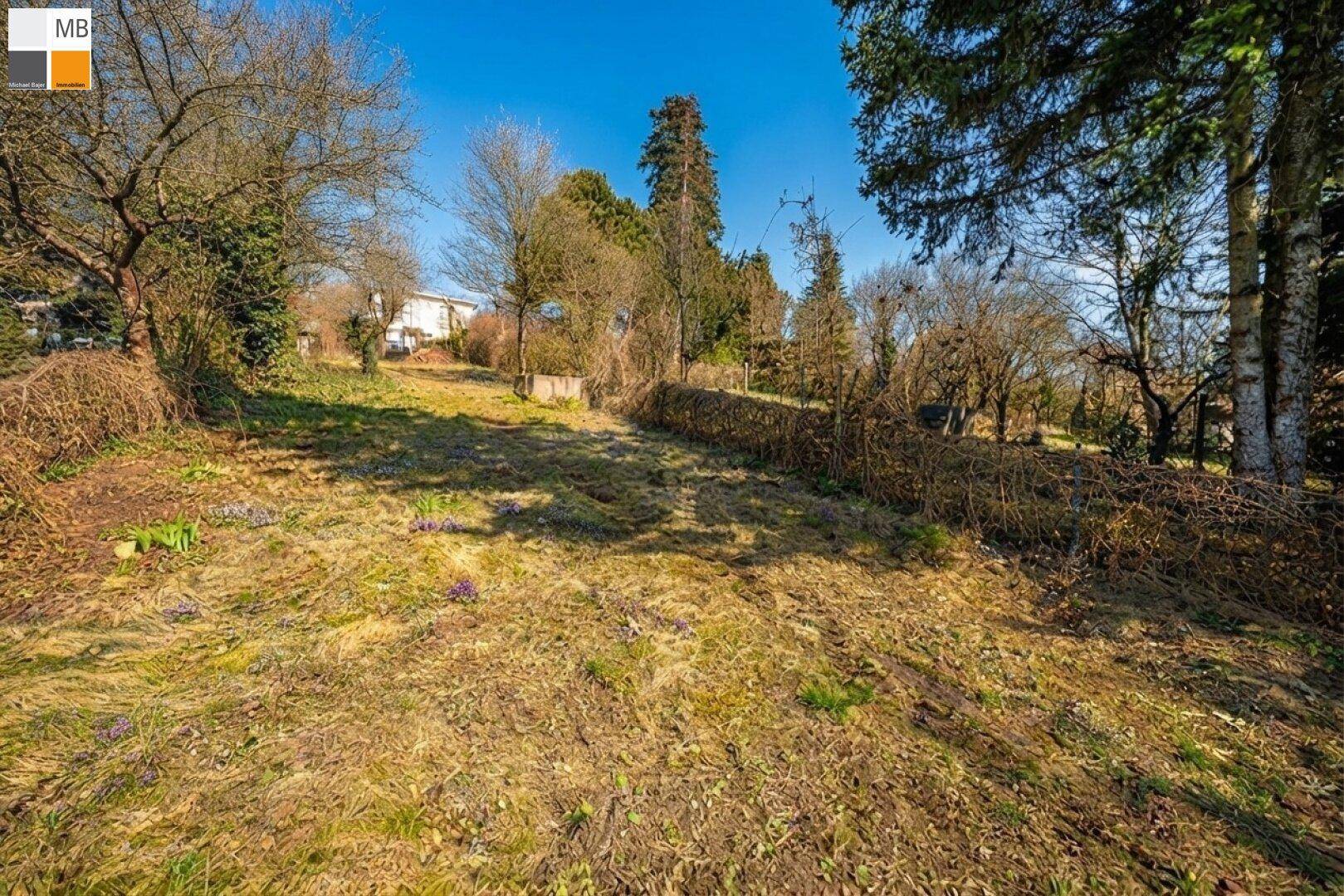 Unbebautes Grundstück mit Gras, Büschen und Bäumen, ideal für die Gestaltung eines Gartens.