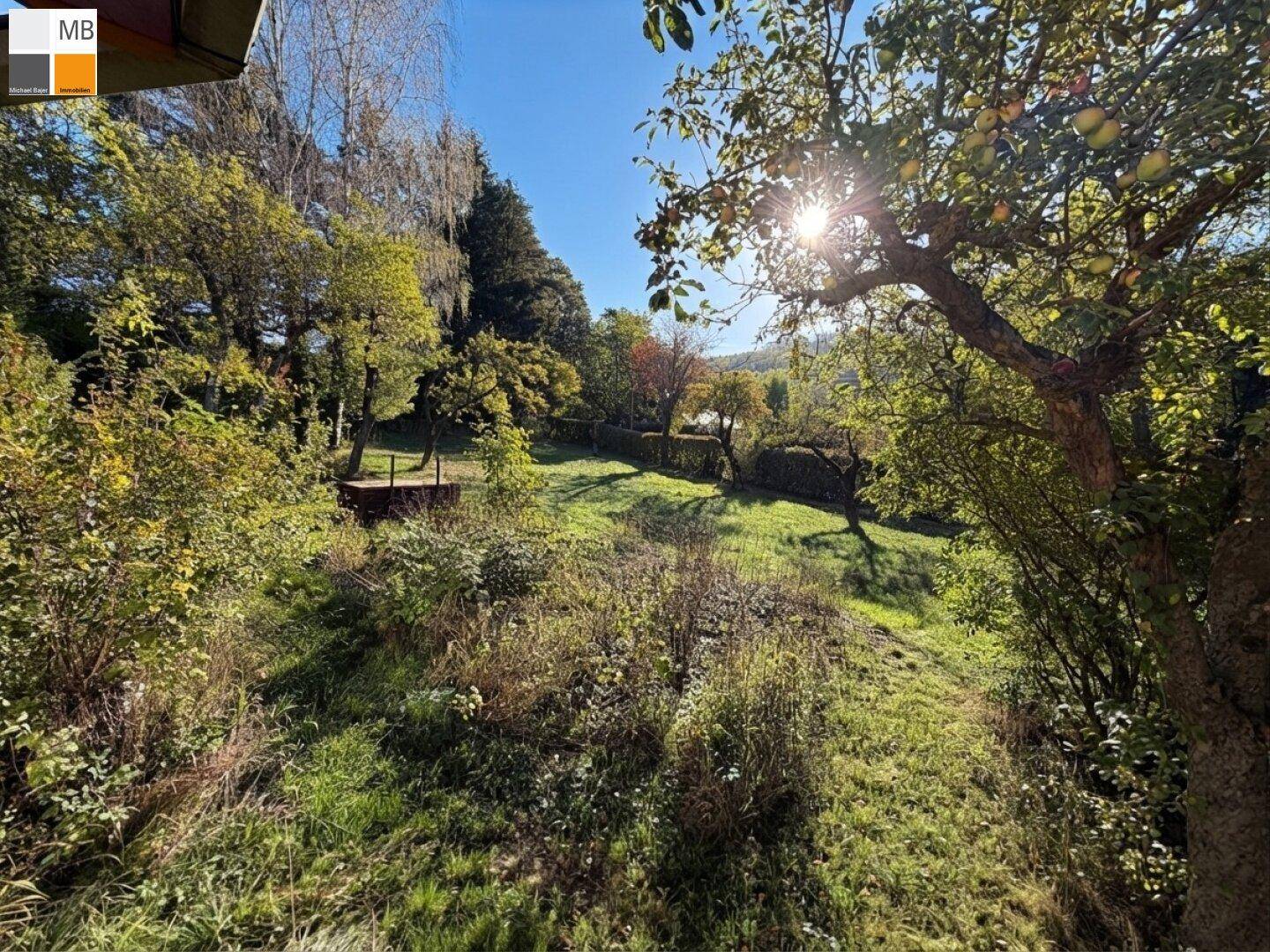 Sonniger Garten mit Obstbäumen und weitem Blick über die grüne Landschaft.