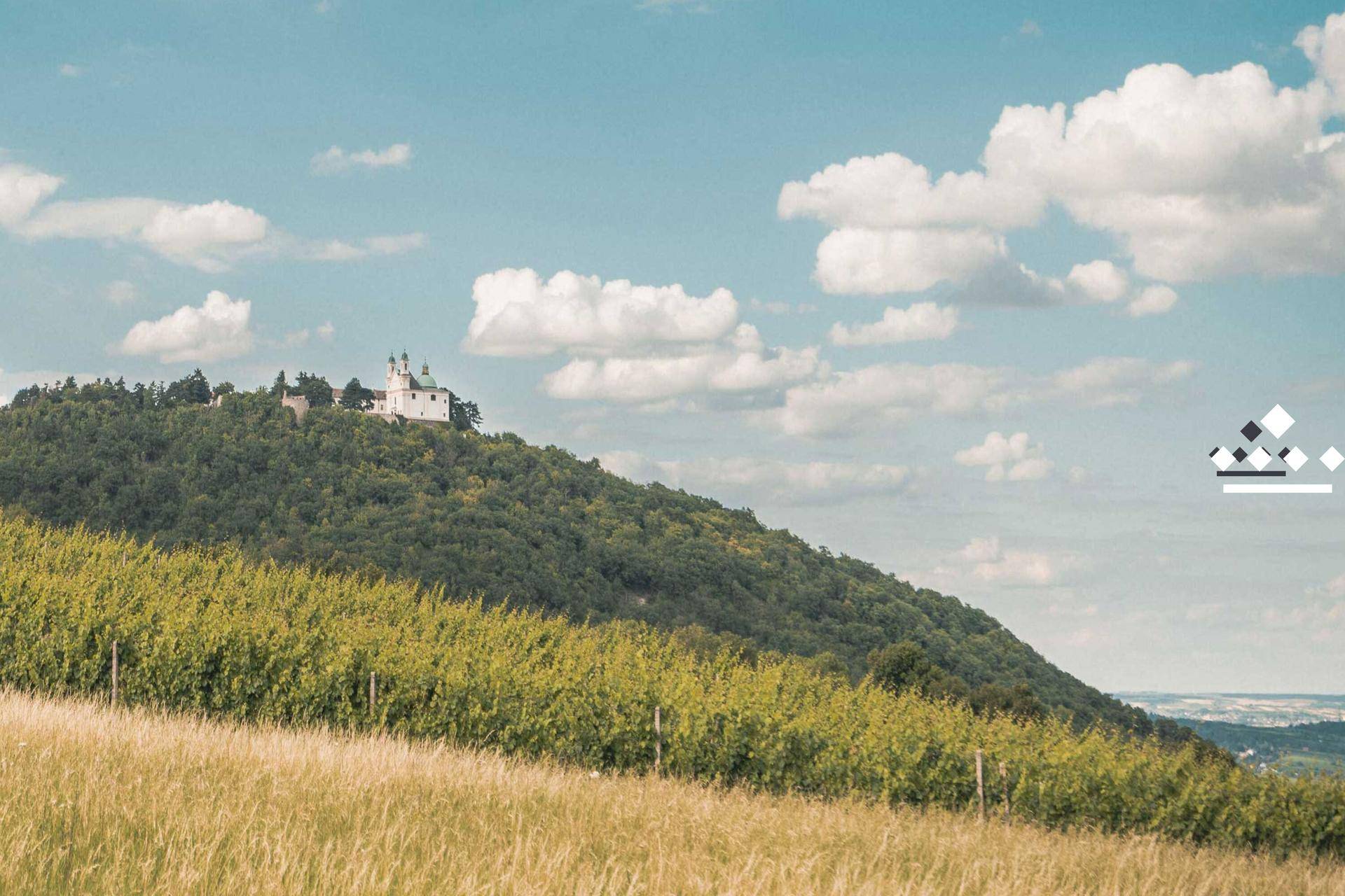 Das_Severin_Kahlenberg_grU