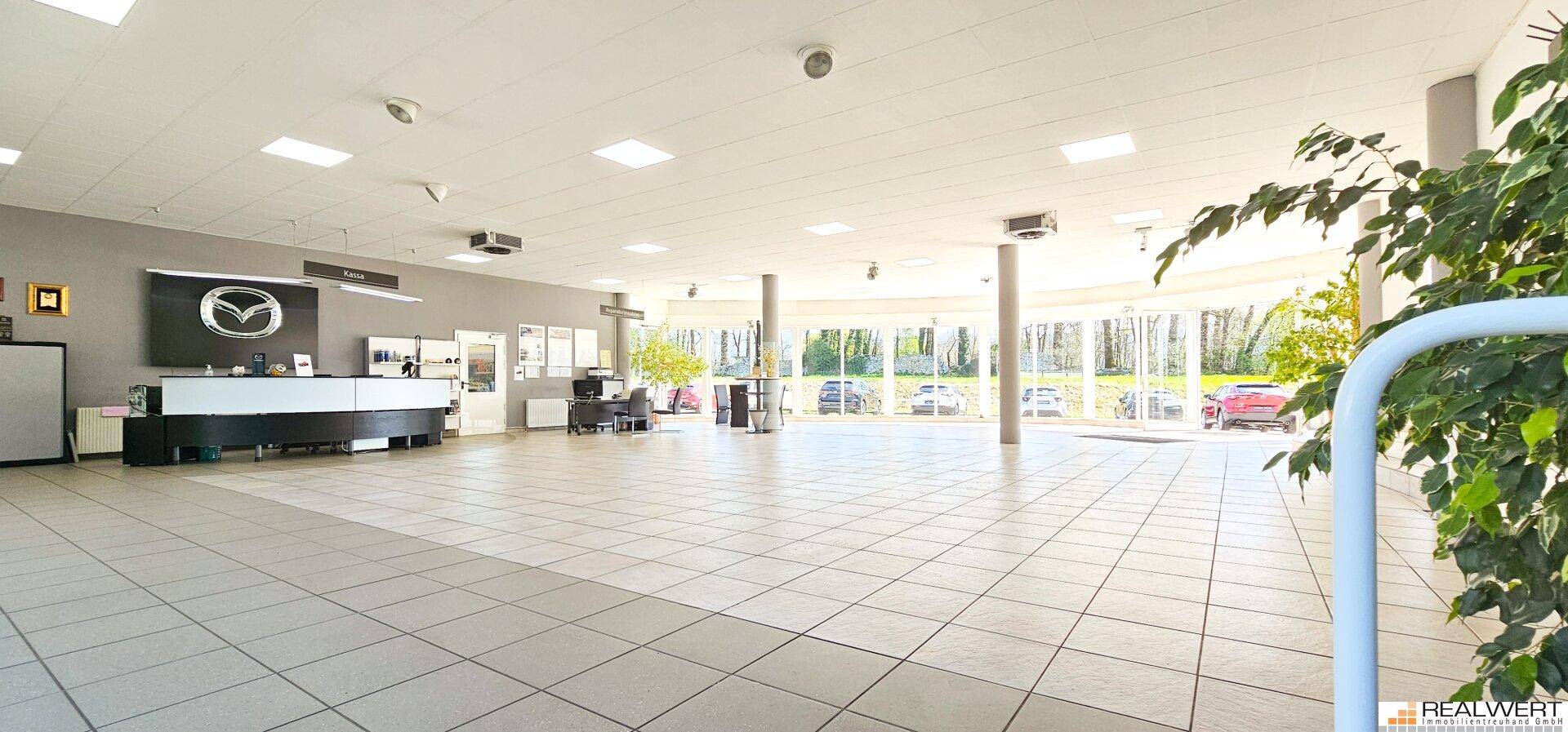 Multifunktionale Gewerbeflächen "Automotive" - Salzburg Süd | Hallein-Taxach - Ansicht 3