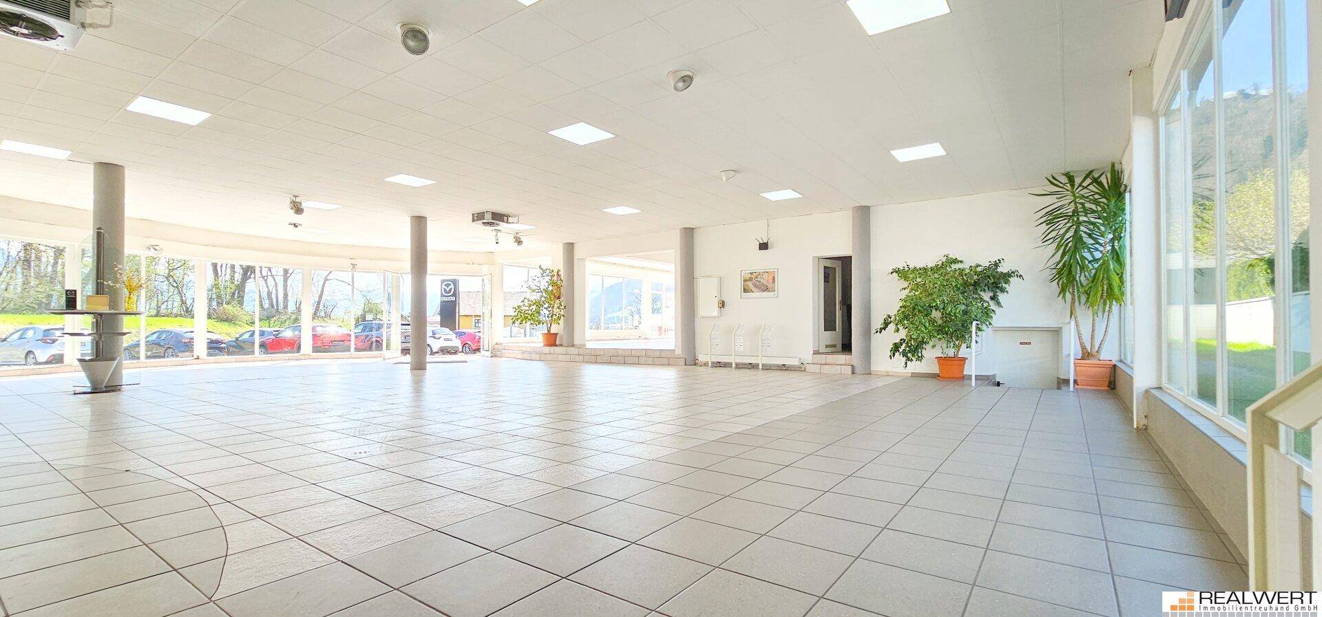 Multifunktionale Gewerbeflächen "Automotive" - Salzburg Süd | Hallein-Taxach - Ansicht 4