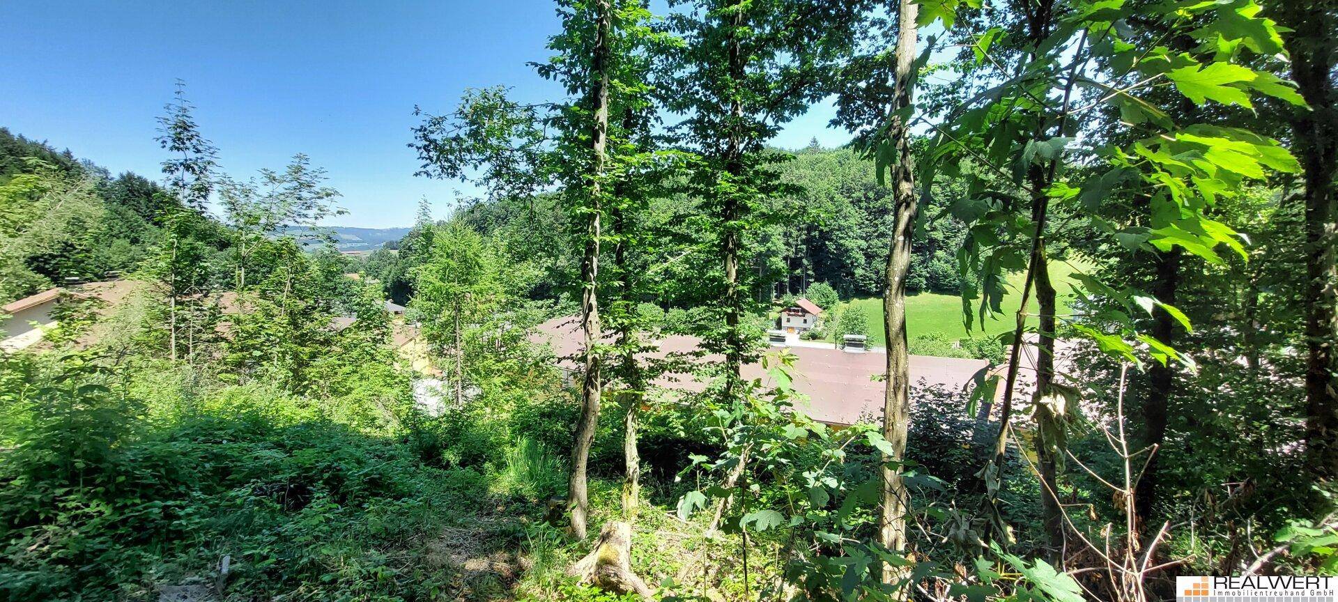 Weitläufige Aussicht auf ein Gebäude in einer bewaldeten Landschaft mit sanften Hügeln und klarem Himmel.