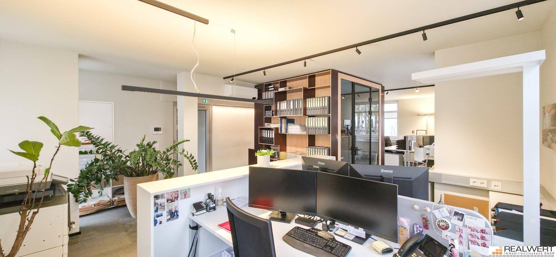 Moderner Bürobereich mit mehreren Arbeitsplätzen, Pflanzen und einem Empfangstresen.