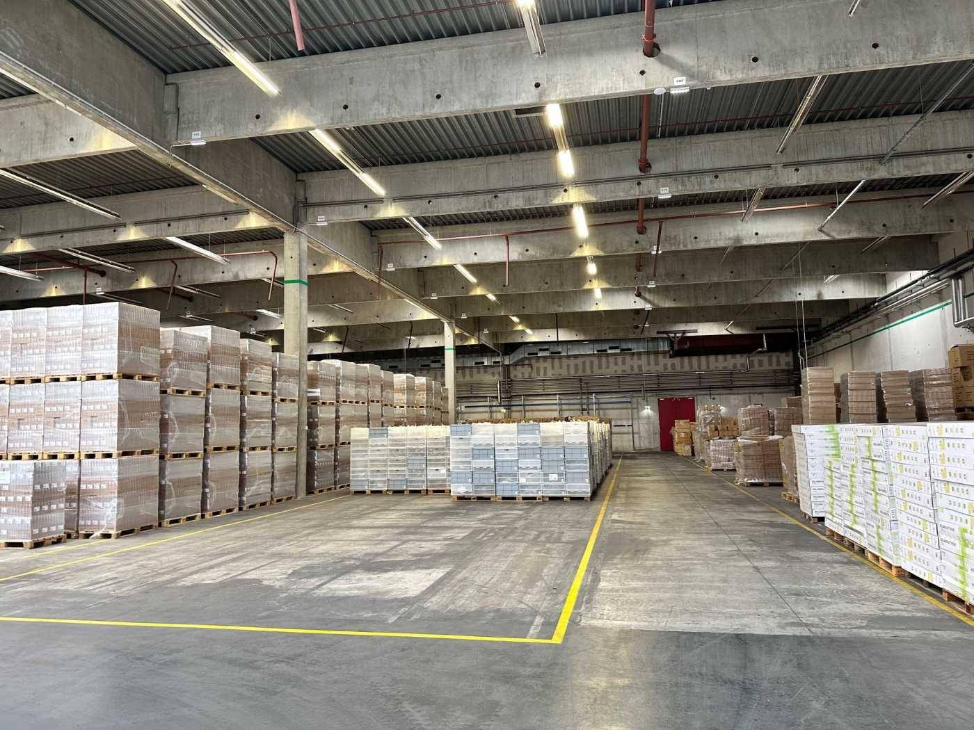Geräumige Lagerhalle mit hohen Decken, gefüllt mit gestapelten Paletten und Betonboden.