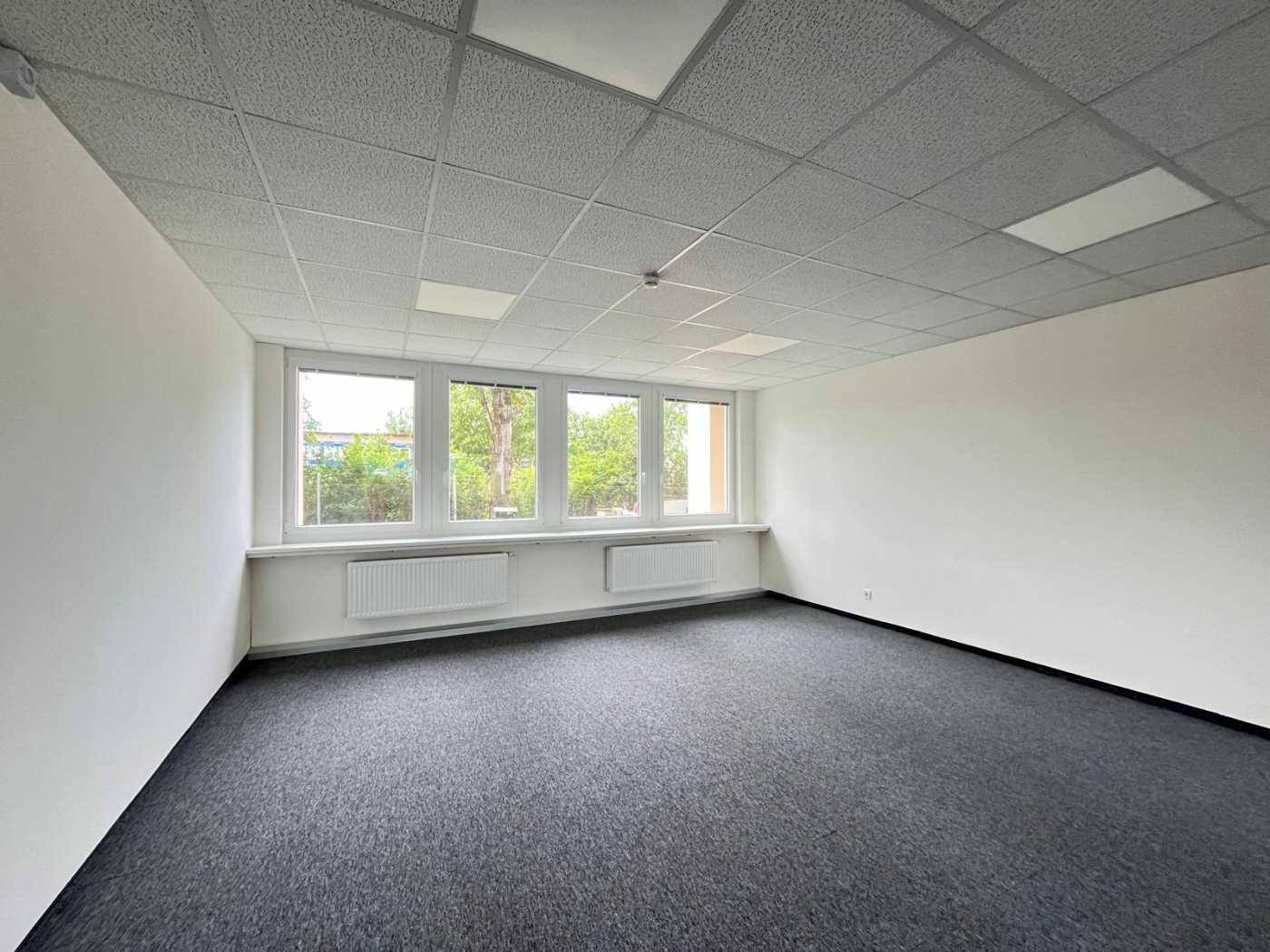 Heller Büroraum mit Teppichboden, großen Fenstern und Blick ins Grüne, schafft eine angenehme Arbeitsatmosphäre.