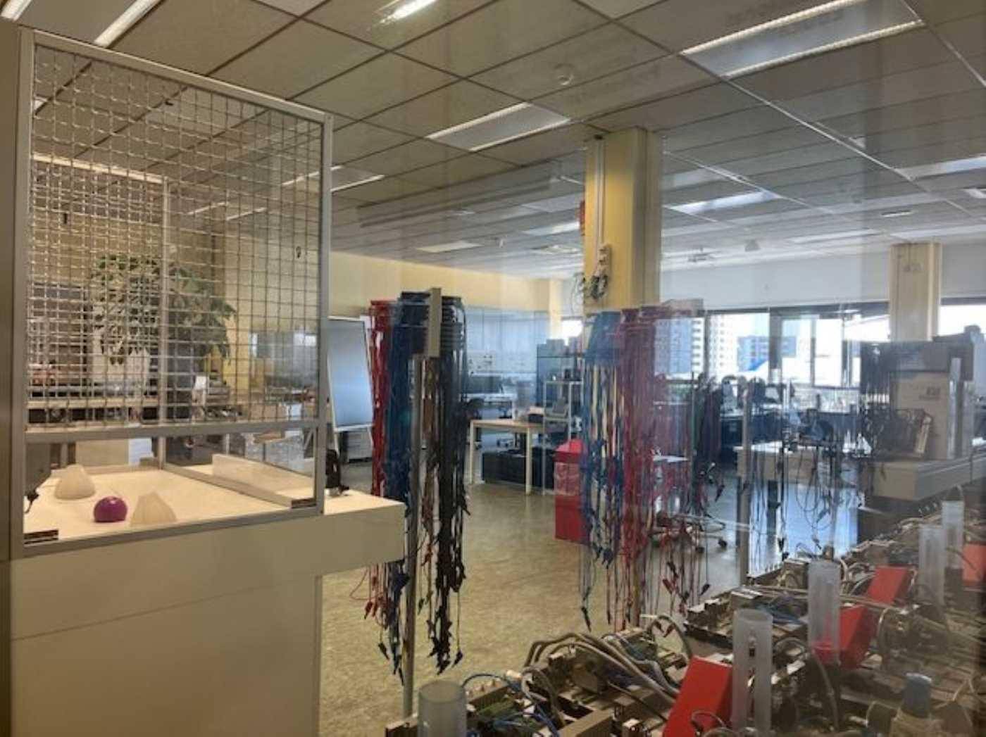 Moderner Büroraum mit Arbeitsplätzen, technischen Geräten und großen Fenstern, die viel Licht spenden.