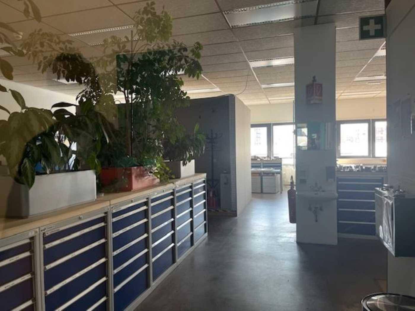 Büroraum mit Pflanzen, blauen Schubladenschränken und Fenstern, die Tageslicht hereinlassen.