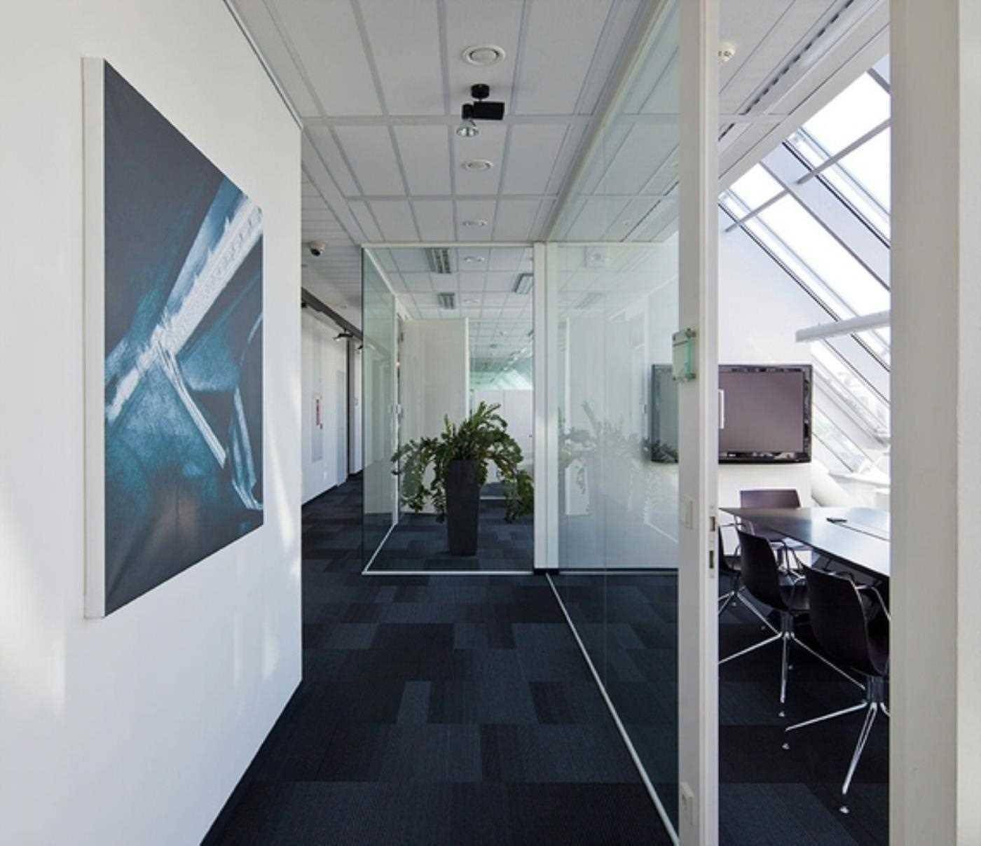 Moderner Bürogang mit Glaswänden, dunklem Teppichboden und dekorativer Pflanze, die zu Besprechungsräumen führt.