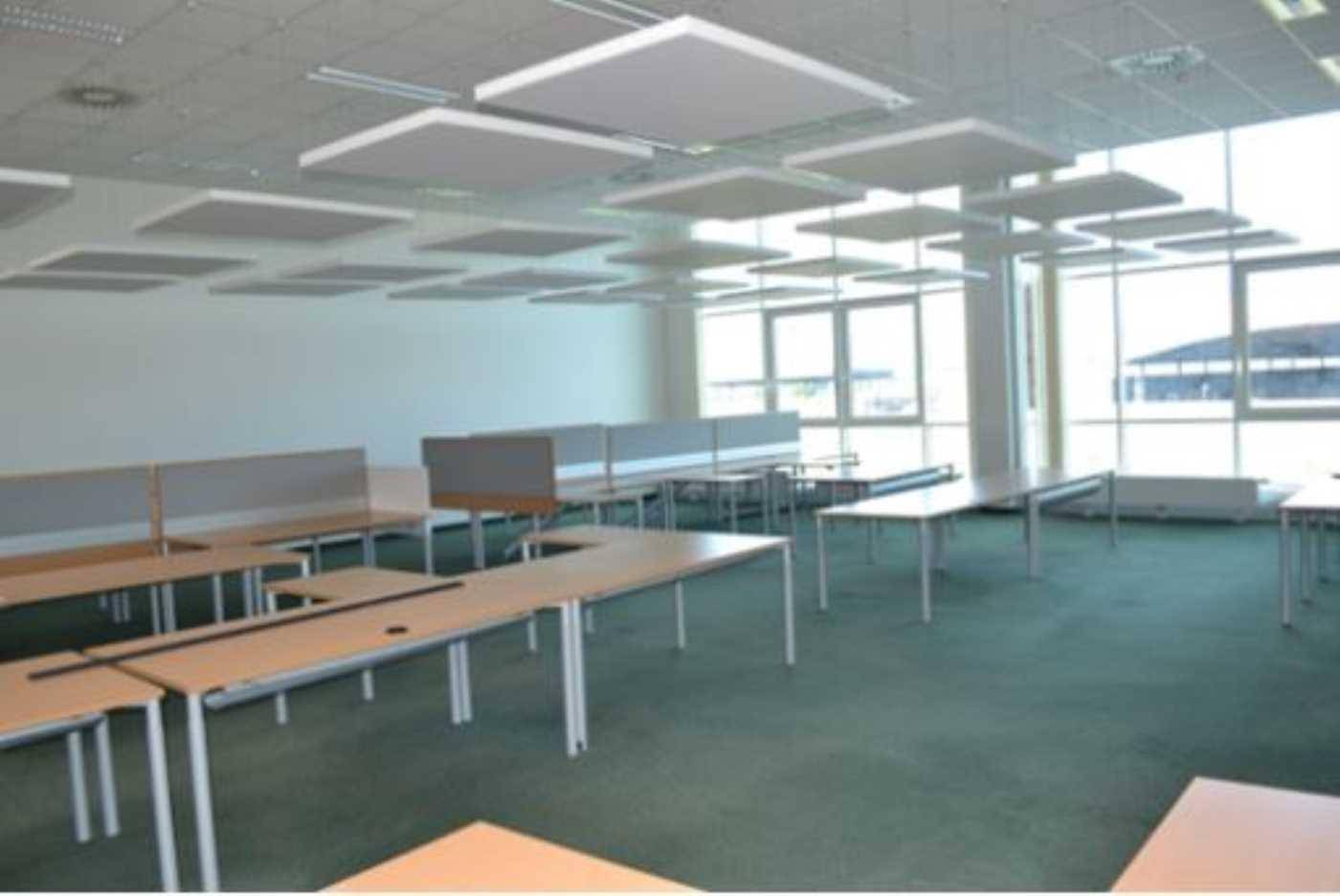 Großraumbüro mit vielen Schreibtischen, Akustikdeckenplatten und großen Fenstern für viel Tageslicht.