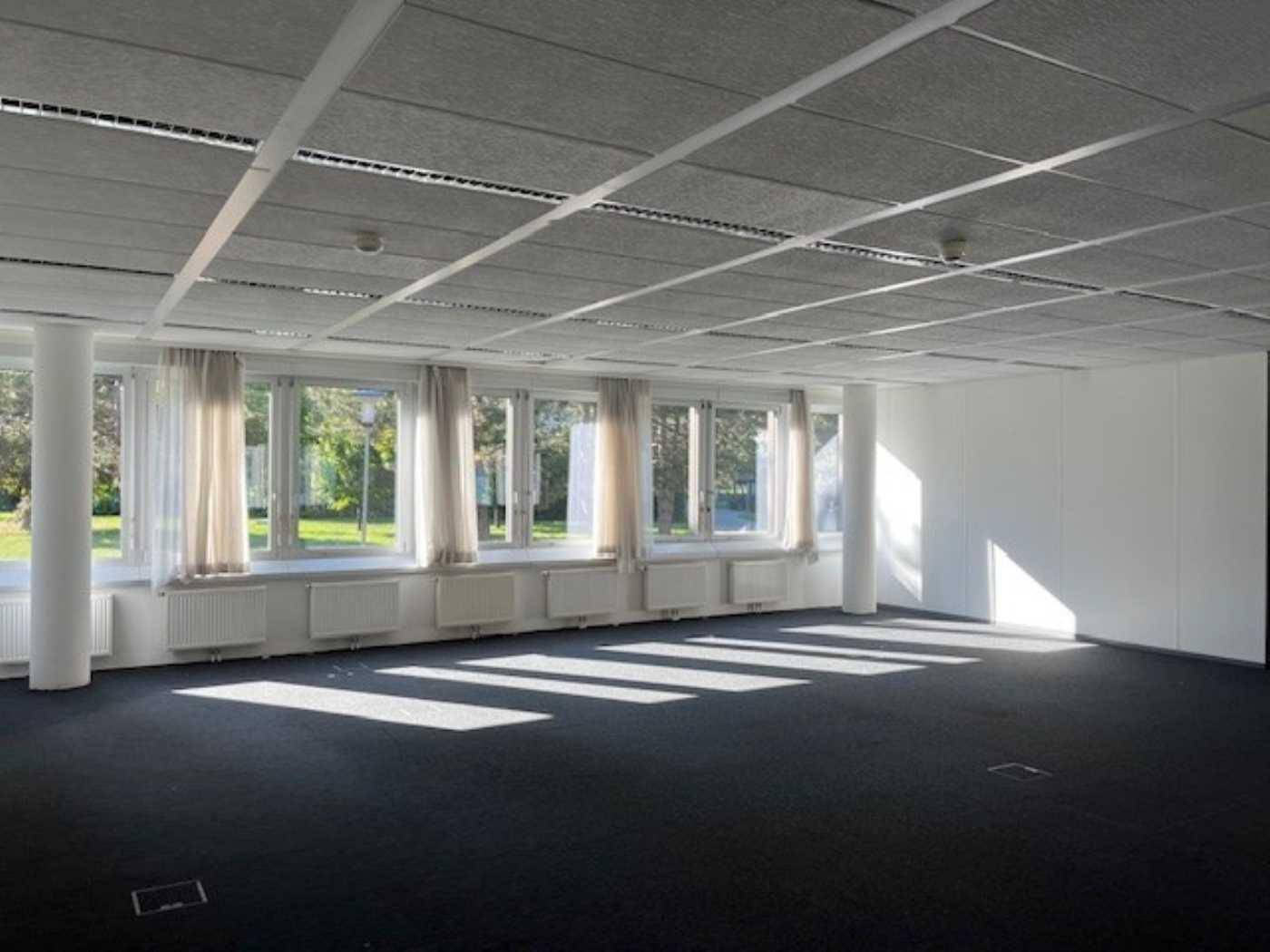 Heller, leerer Büroraum mit großen Fenstern, Blick ins Grüne und dunklem Teppichboden, ideal für flexible Gestaltung.