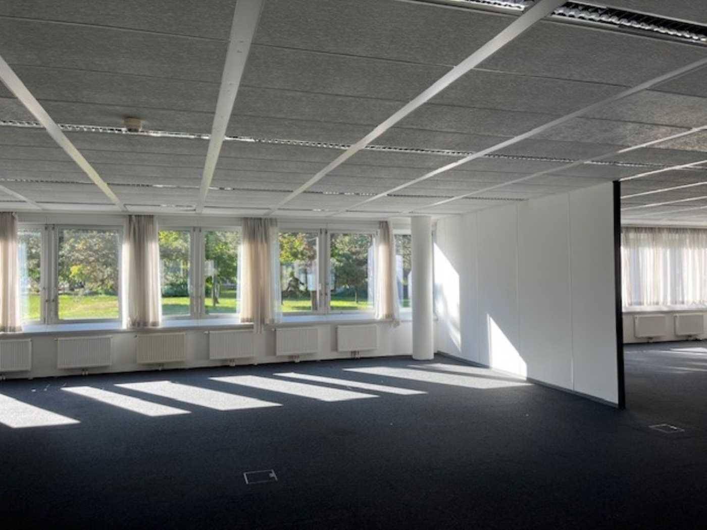 Heller Büroraum mit vielen Fenstern, die eine grüne Aussicht bieten und den Raum mit Tageslicht füllen.