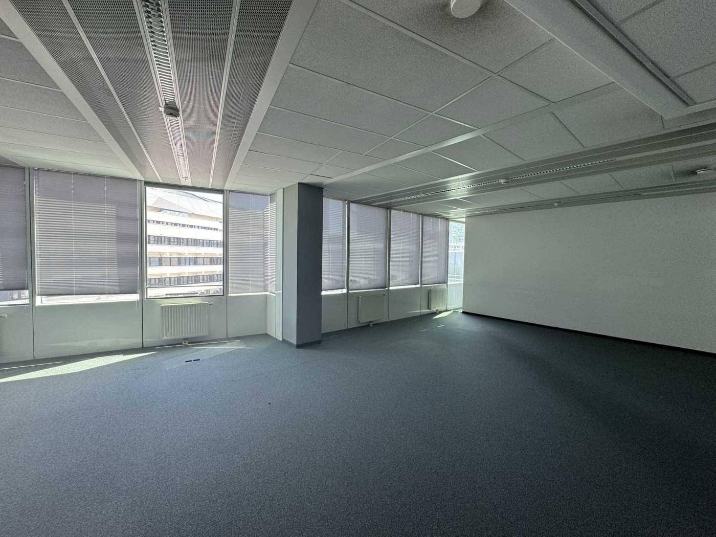 Leerer Büroraum mit grauem Teppichboden, großen Fenstern und abgehängter Decke.