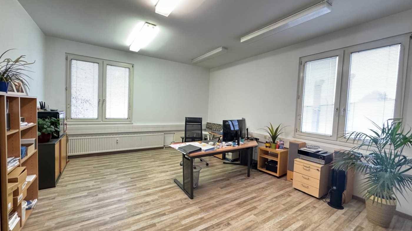 Großes Büro mit Holzfußboden, Schreibtisch, Regalen und vielen Pflanzen.