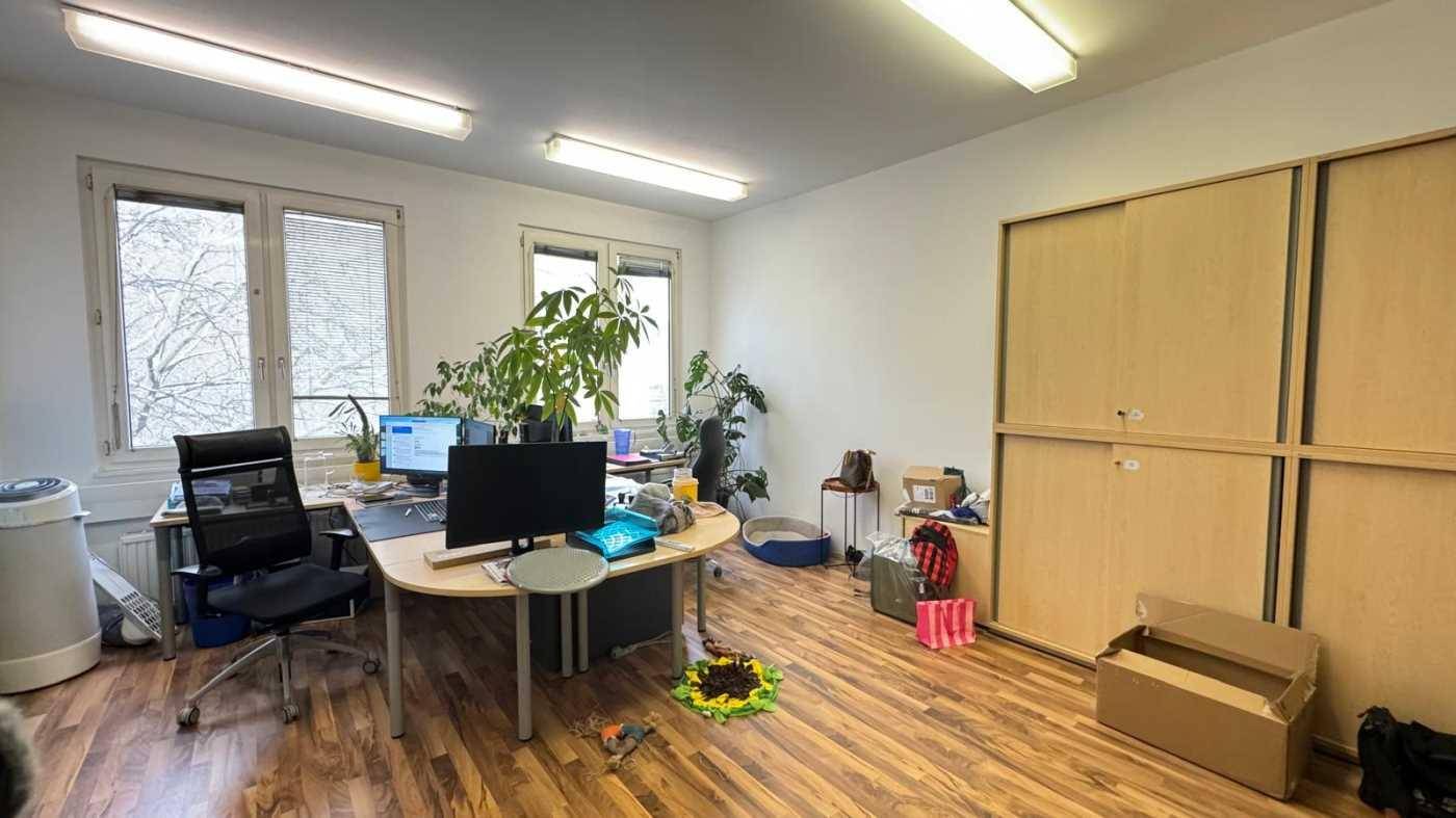 Helles Büro mit Holzfußboden, Schreibtischen, Pflanzen und Einbauschränken.