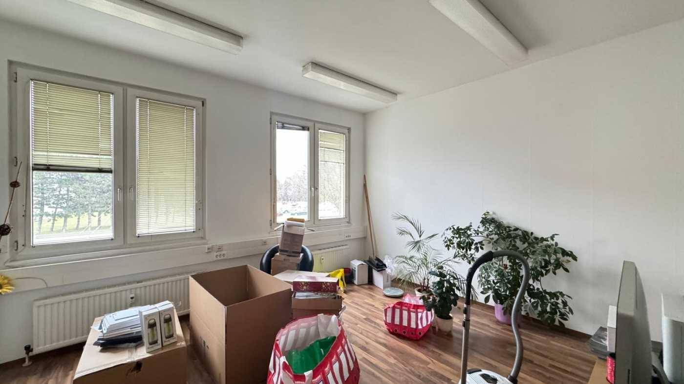 Helles Büro mit Holzfußboden, Pflanzen und Kartons, bereit für die Einrichtung.