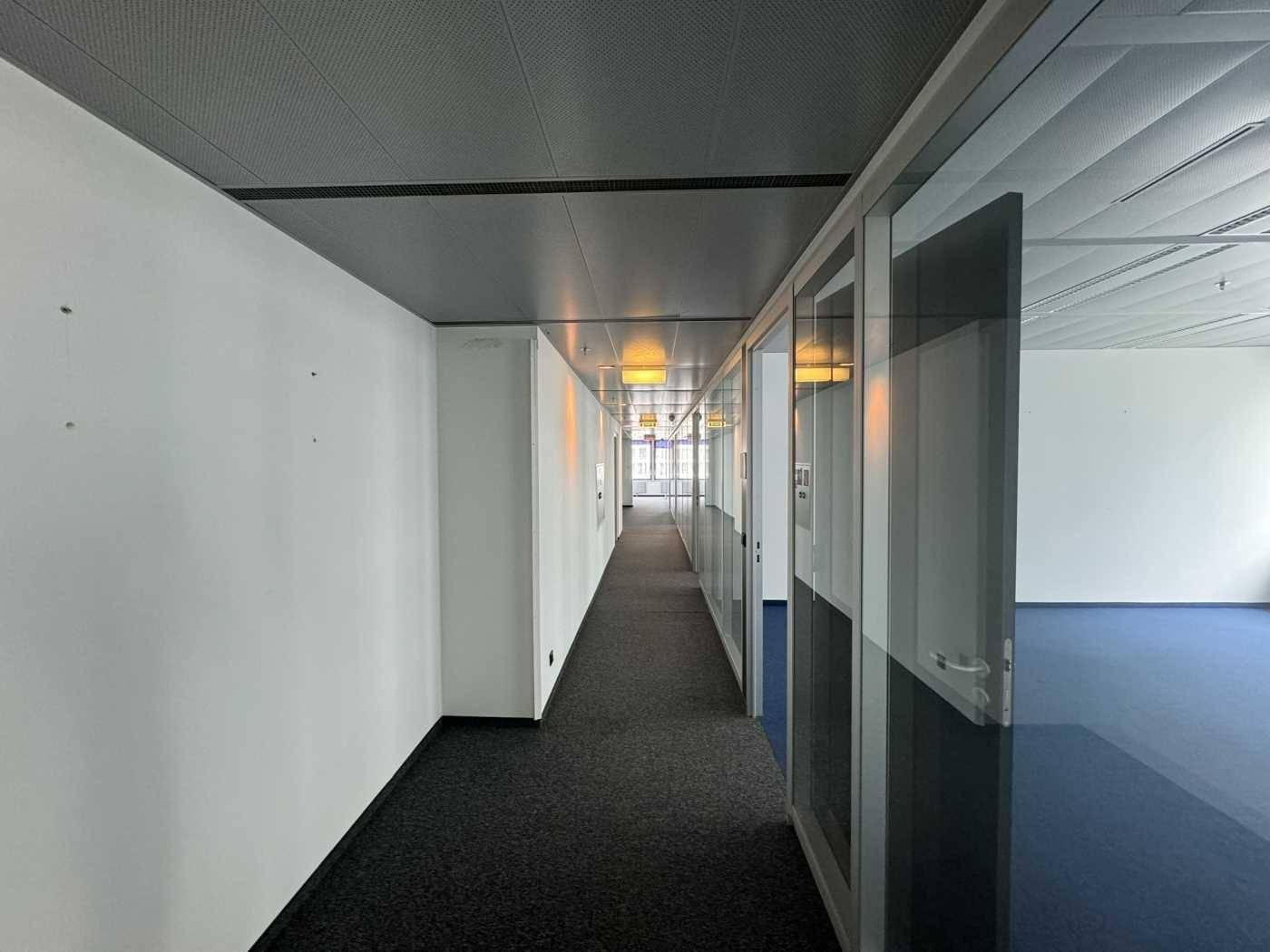 Langer Bürogang mit Teppichboden und Glaswänden, die zu den angrenzenden Büroräumen führen und eine moderne Atmosphäre schaffen.