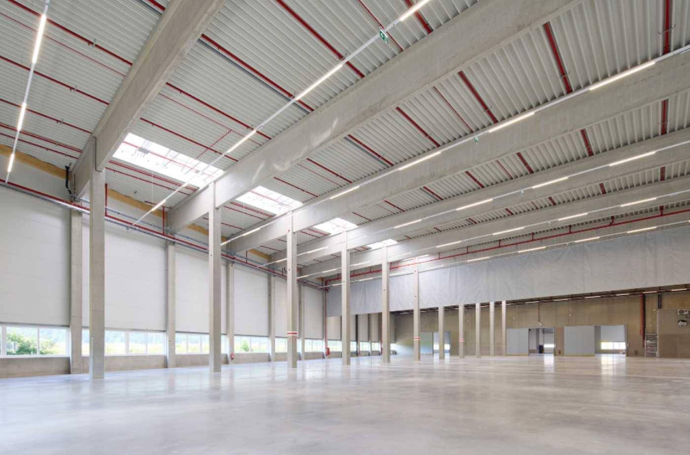 Helle, moderne Lagerhalle mit hohen Decken, vielen Säulen und großen Fenstern für viel Tageslicht.