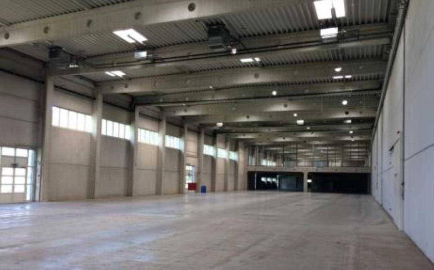 Geräumige, leere Lagerhalle mit hohen Decken, Betonboden und Oberlichtern für Tageslicht.