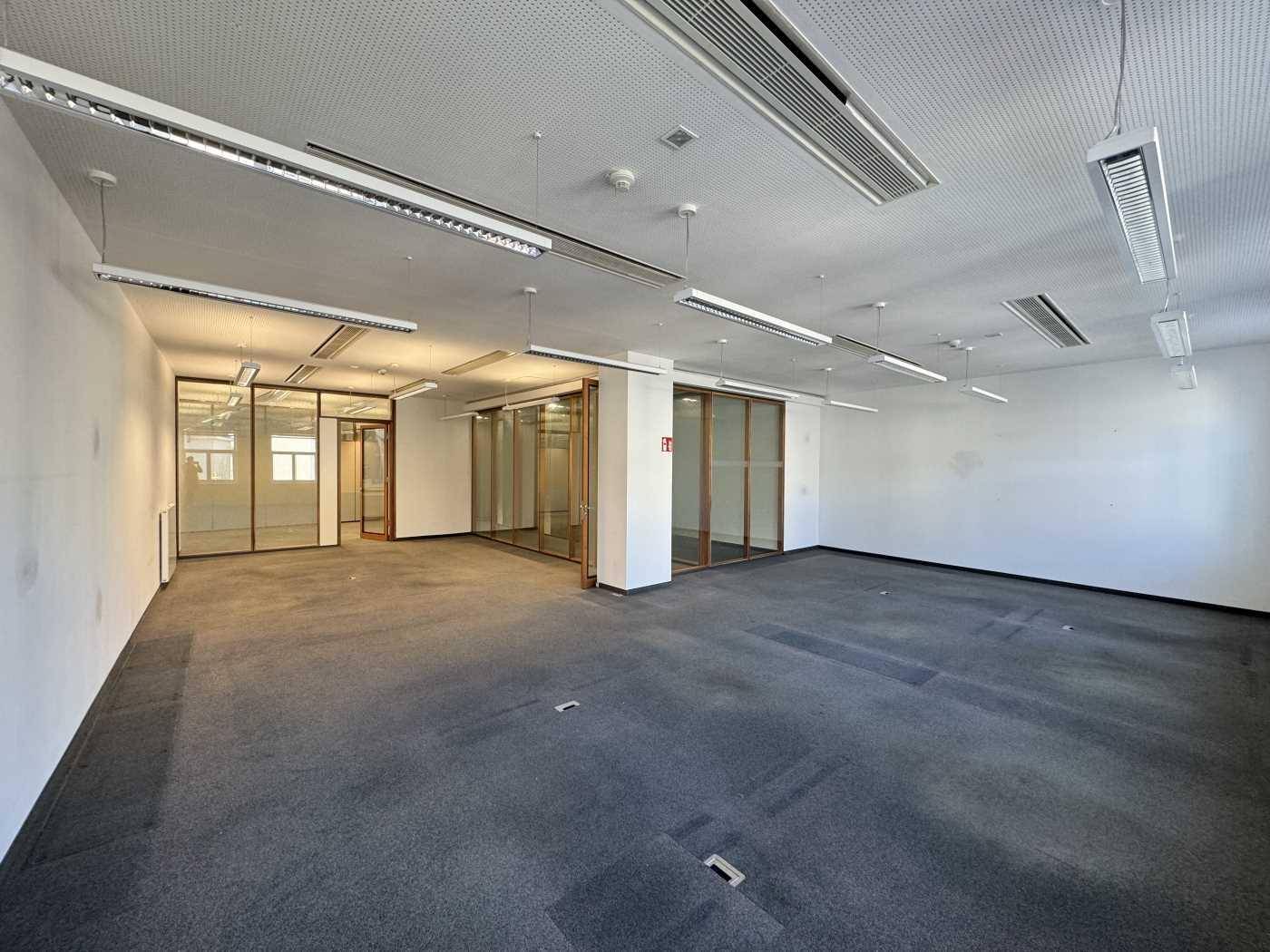 Großes, leeres Büro mit Teppichboden, Glasabtrennungen und moderner Deckenbeleuchtung.
