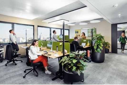 Helles, modernes Büro mit mehreren Arbeitsplätzen, großen Fenstern und Pflanzen zur Raumtrennung.