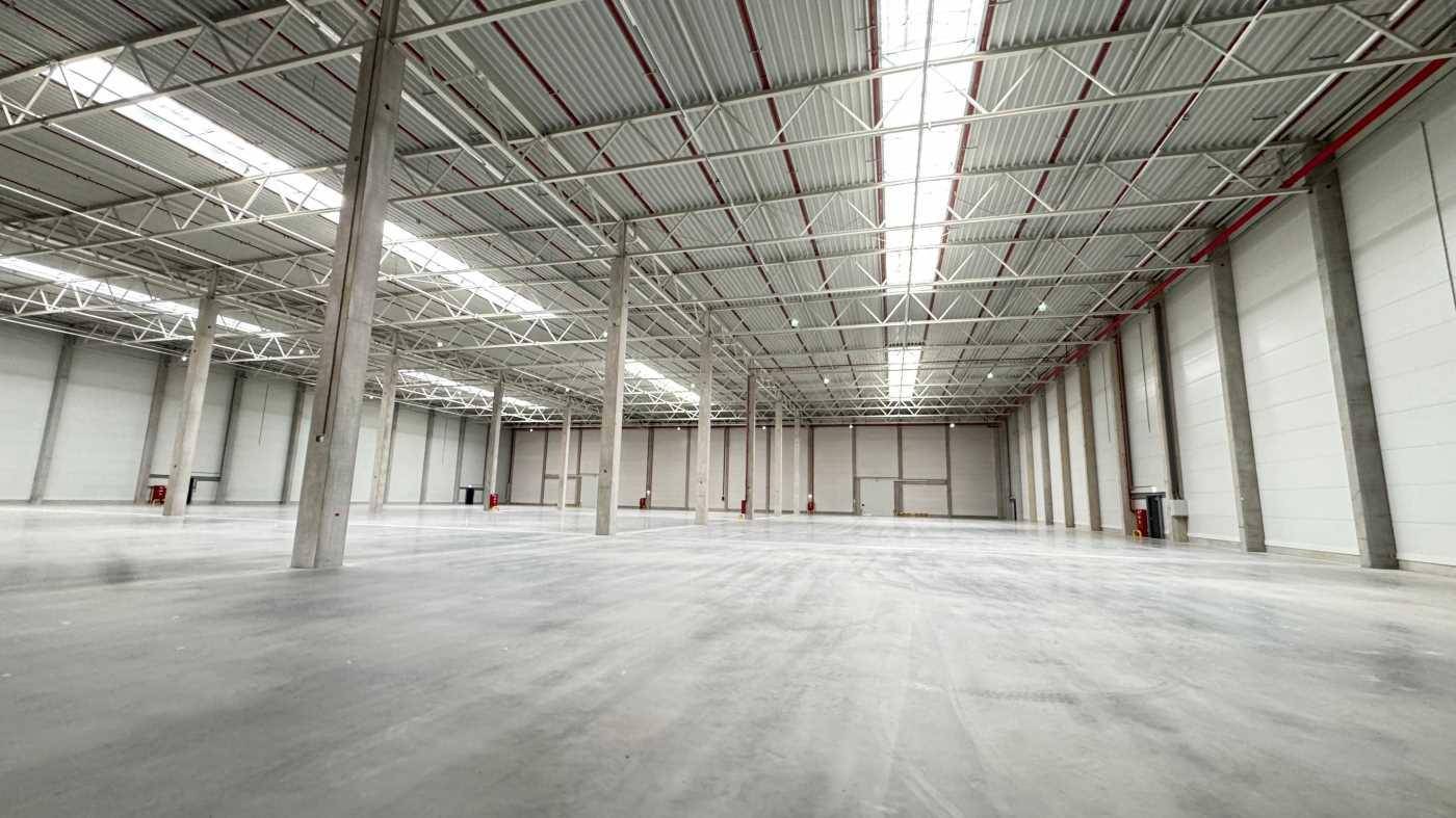 Große, leere Lagerhalle mit vielen Betonstützen und Oberlichtern, die den Raum erhellen.