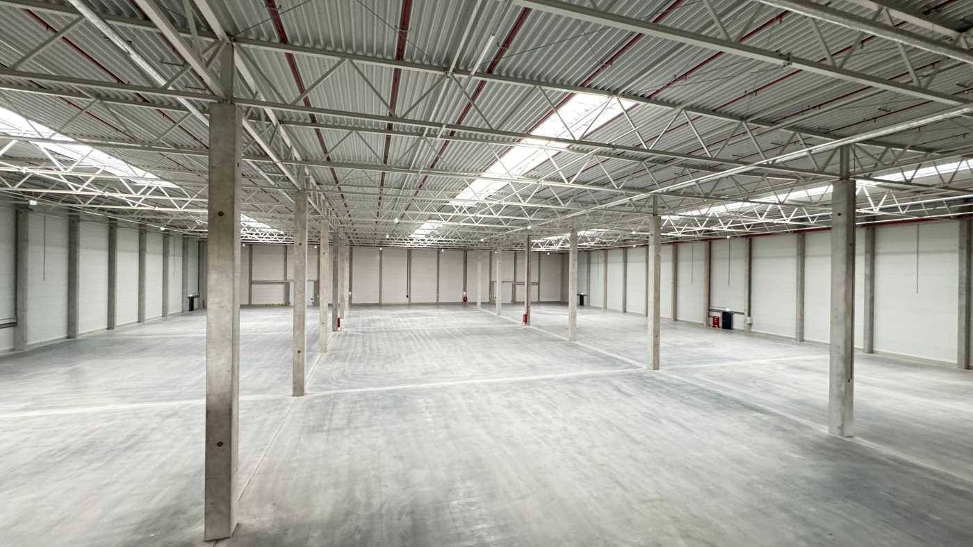 Leere Lagerhalle mit vielen Betonstützen und einem Gitterdach, bereit zur Nutzung.