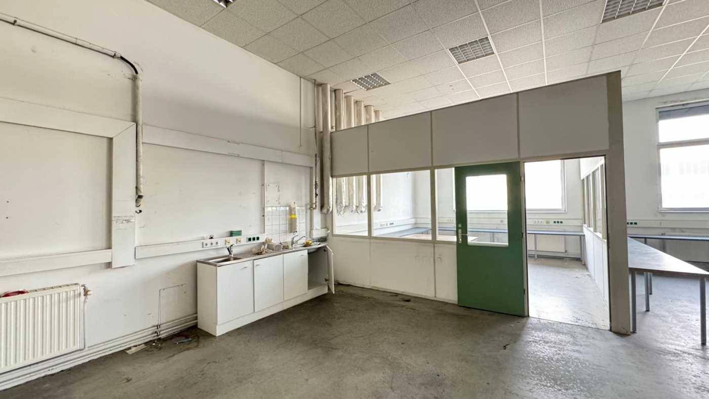 Bürofläche mit integrierter Küchenzeile, Trennwänden und Fenstern für natürliches Licht.