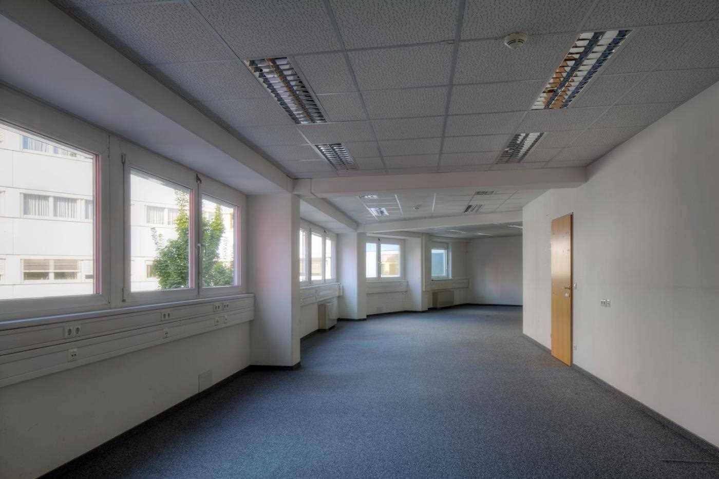 Geräumiges, leeres Büro mit grauem Teppichboden, vielen Fenstern und einer Holztür, bereit zur Einrichtung.