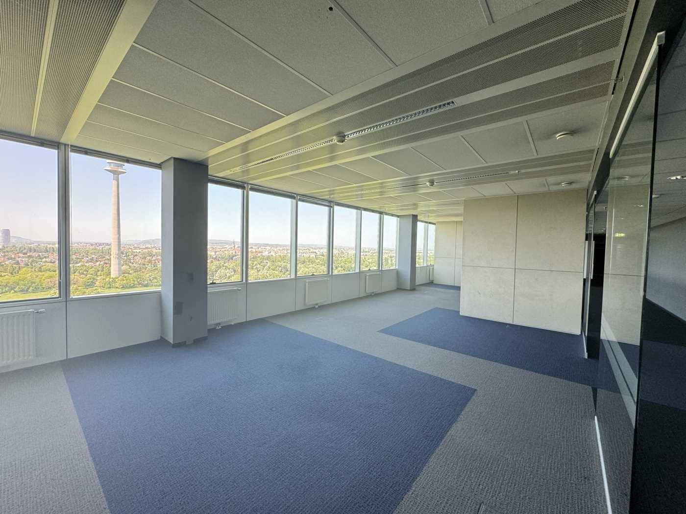 Büroraum mit gemustertem Teppichboden und großen Fenstern, die einen Blick ins Grüne und auf den Donauturm bieten.