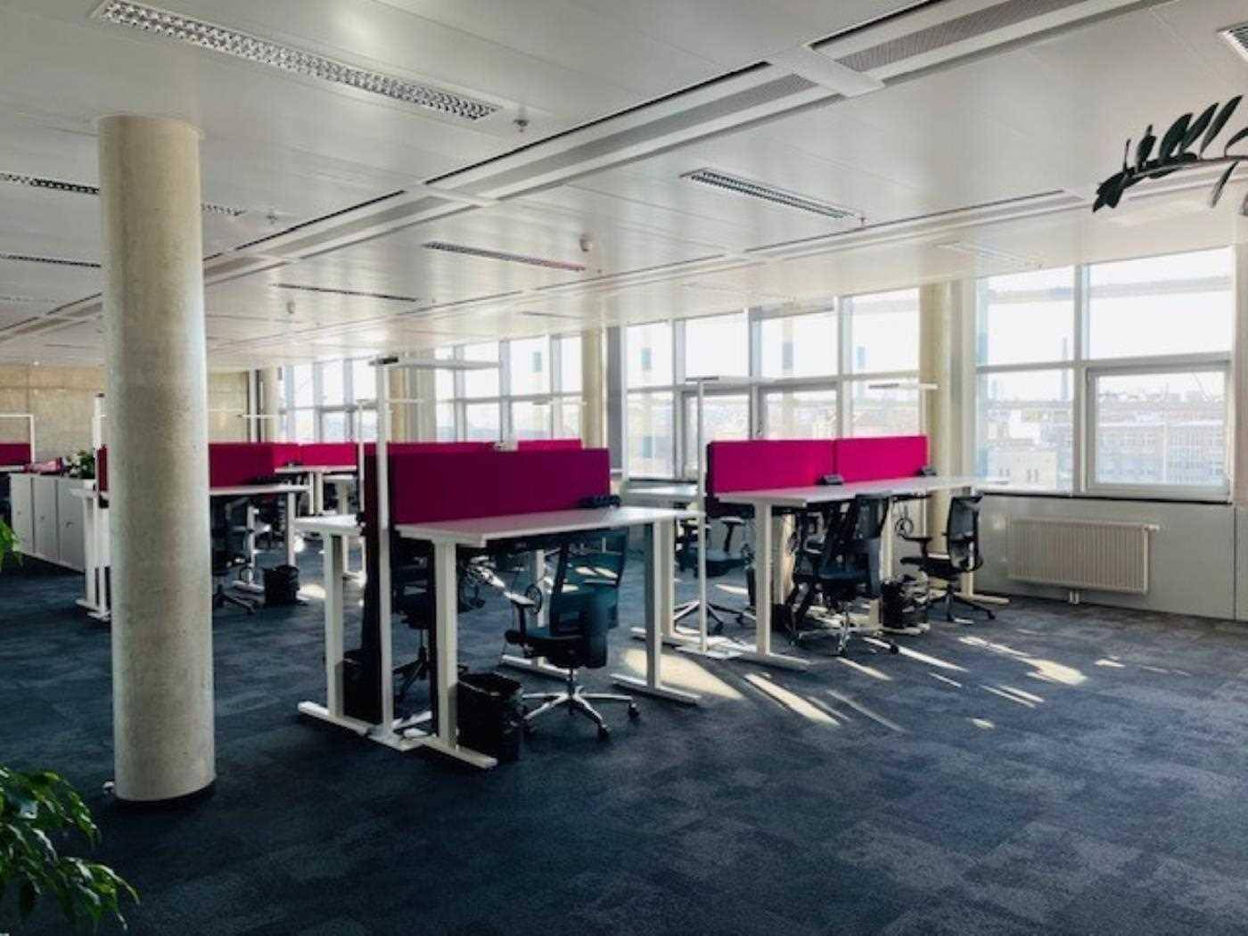 Helles Großraumbüro mit modernen Arbeitsplätzen, pinken Trennwänden und viel Tageslicht.