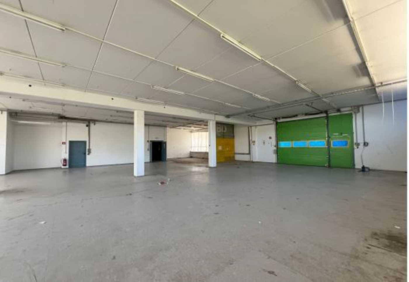Große, leere Lagerhalle mit Betonboden, Stützpfeilern und einem grünen Rolltor.