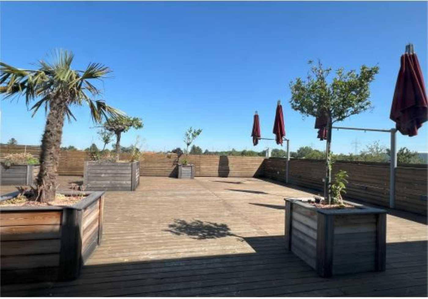 Geräumige Dachterrasse mit Holzbelag, großen Pflanzkübeln und Sonnenschirmen.
