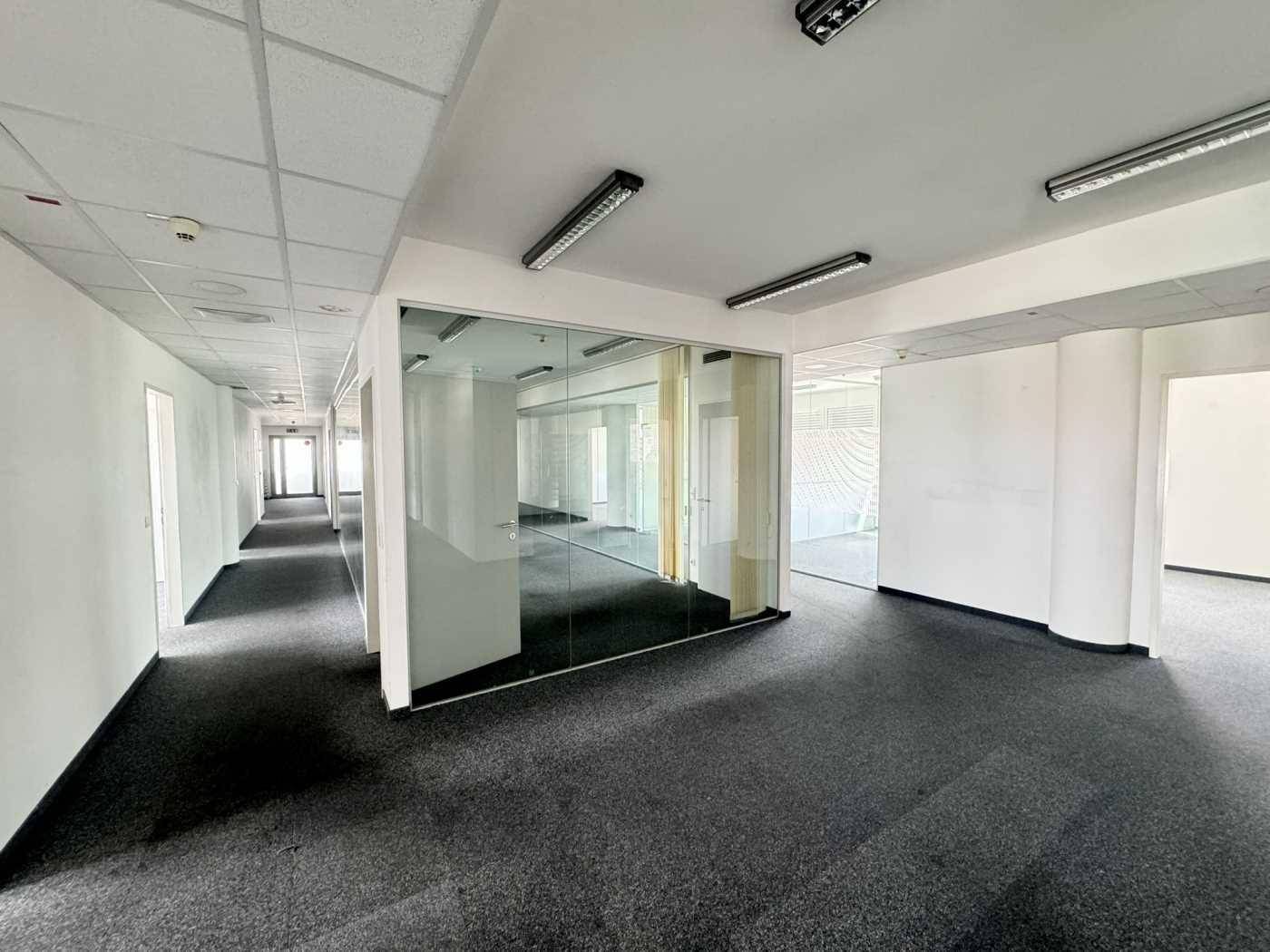 Bürogang mit modernen Glaswänden, die separate Büros abtrennen, und durchgehendem Teppichboden.