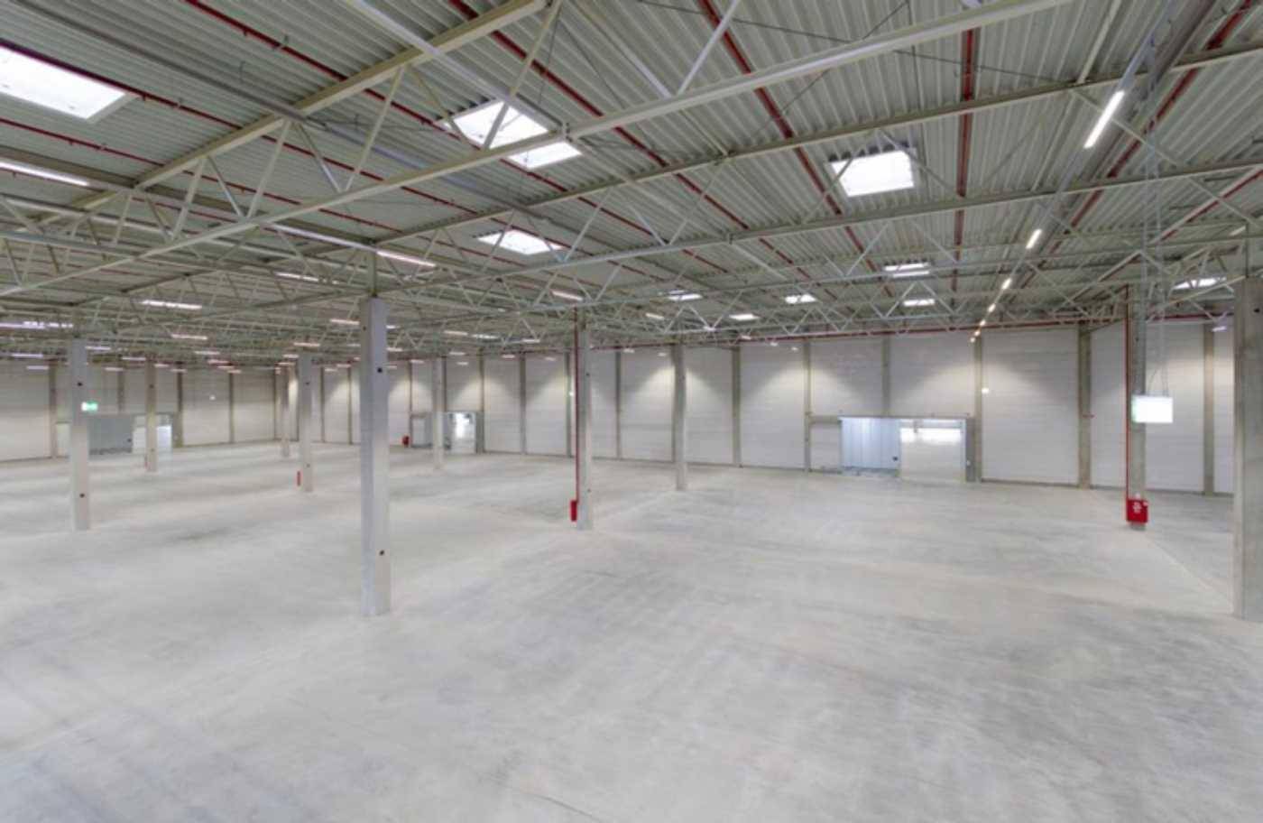 Geräumige, leere Lagerhalle mit hohen Decken, Betonboden und natürlichem Lichteinfall durch Oberlichter.