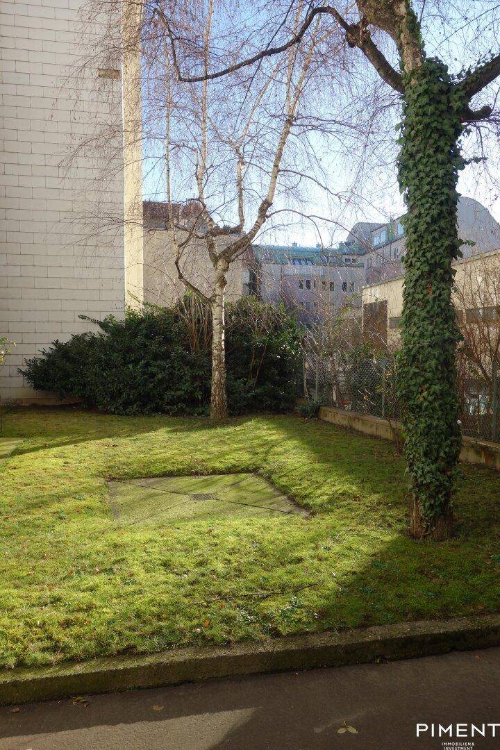 Grüner Gartenbereich mit Rasenfläche und Bäumen, umgeben von Gebäuden.