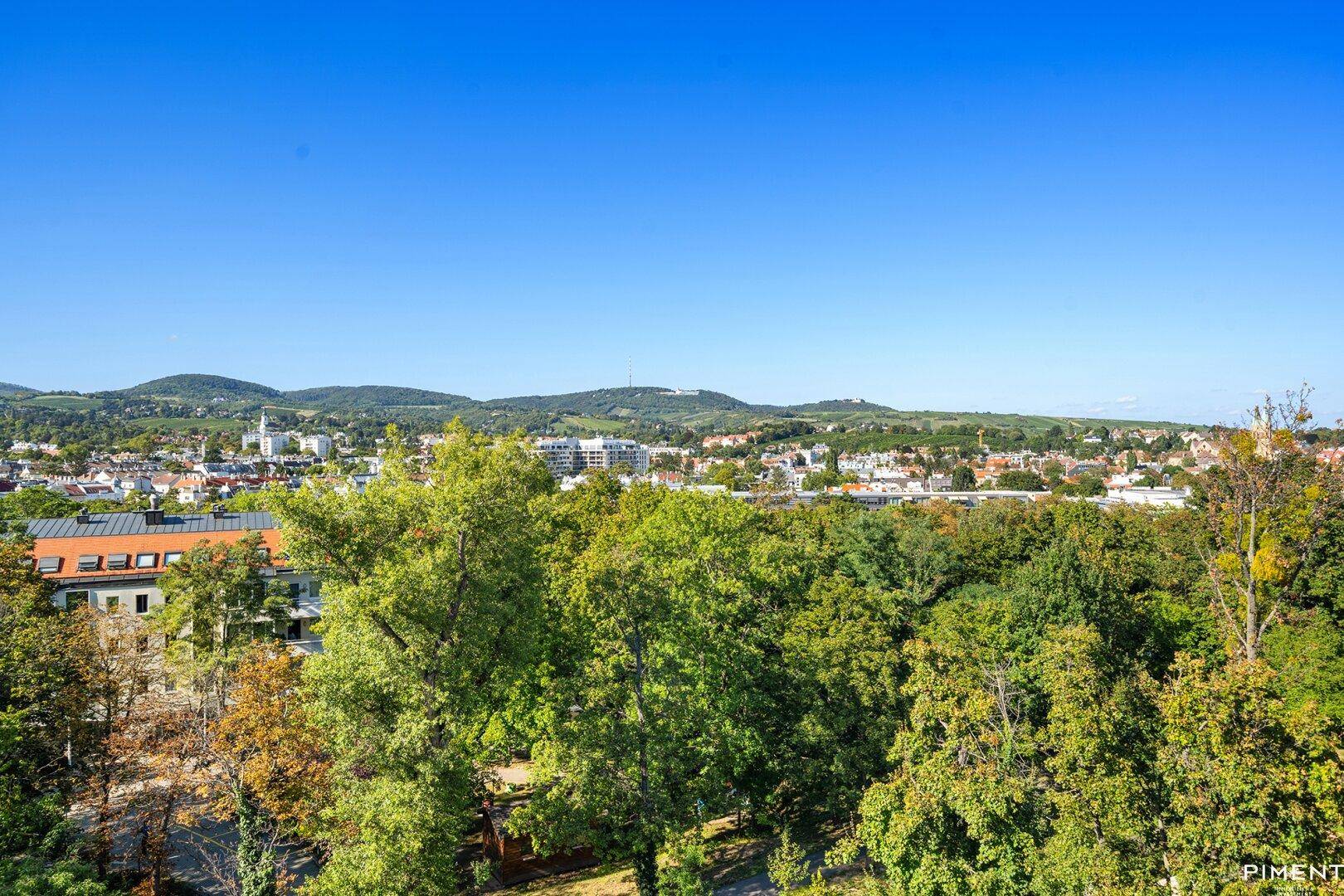 Weitläufiger Blick über die grüne Landschaft mit Weinbergen und Siedlungen.