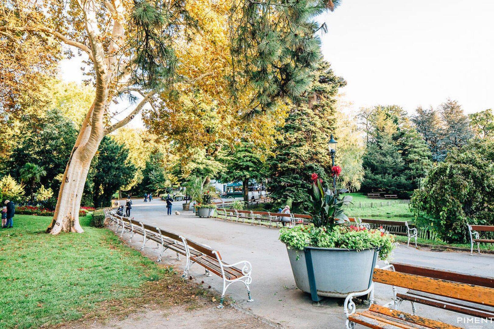 Idyllischer Parkweg mit alten Bäumen, vielen Bänken und bunten Blumenbeeten für Erholung.
