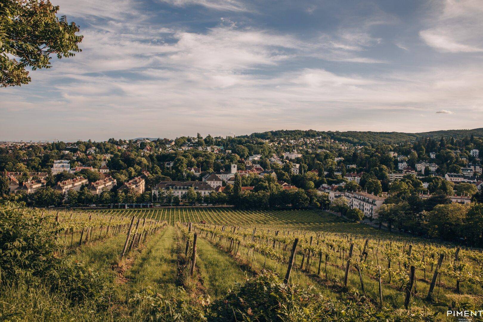 Weitläufiger Weinberg mit Blick auf eine charmante Ortschaft und grüne Hügel unter bewölktem Himmel.